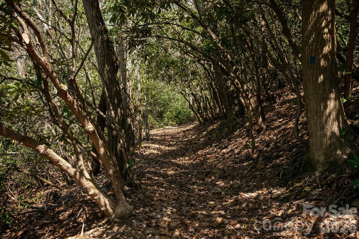 148 Spring Song Lane #6 - Photo 18