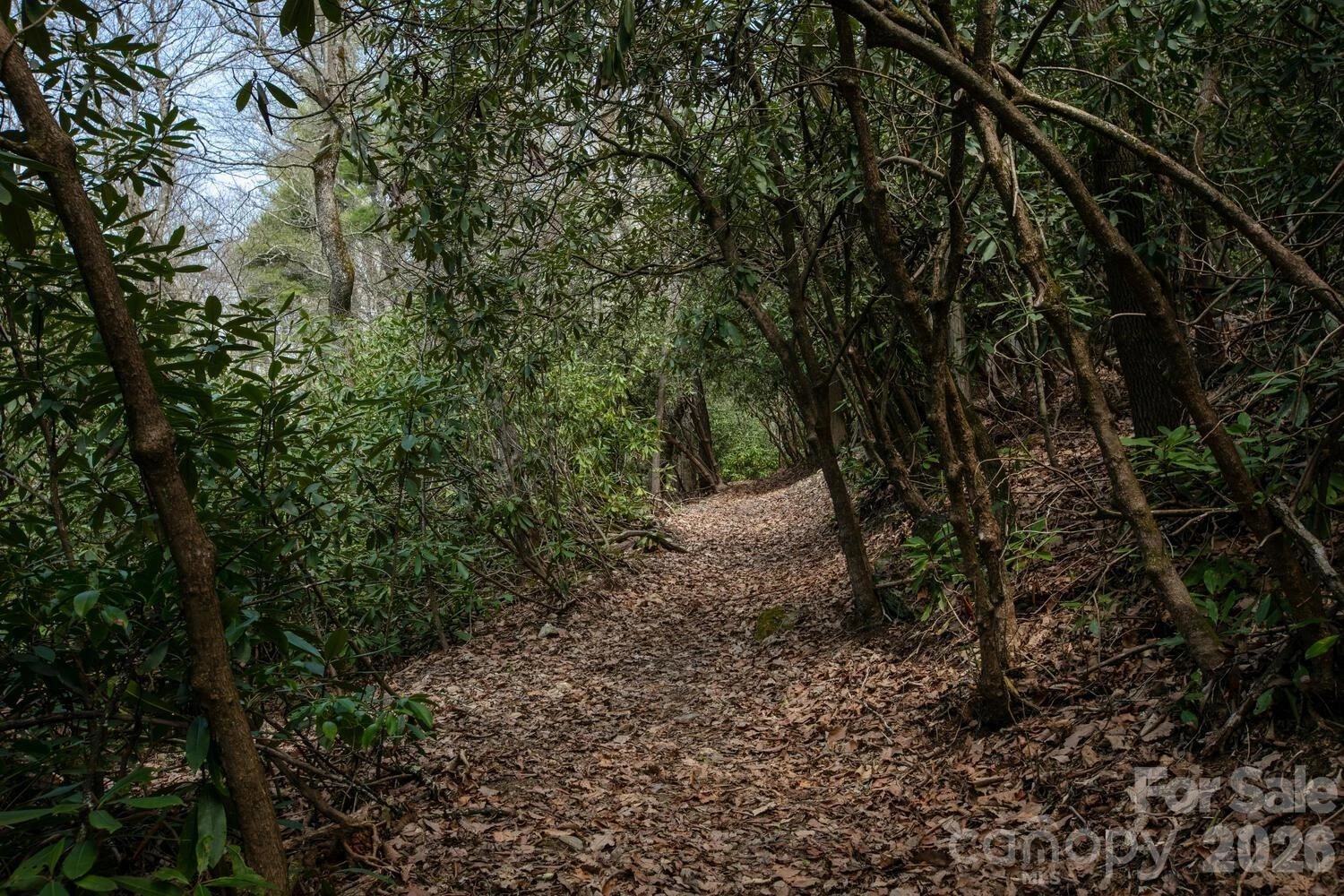 148 Spring Song Lane #6 - Photo 19