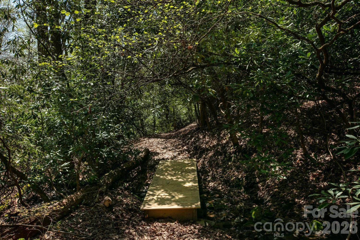 148 Spring Song Lane #6 - Photo 20
