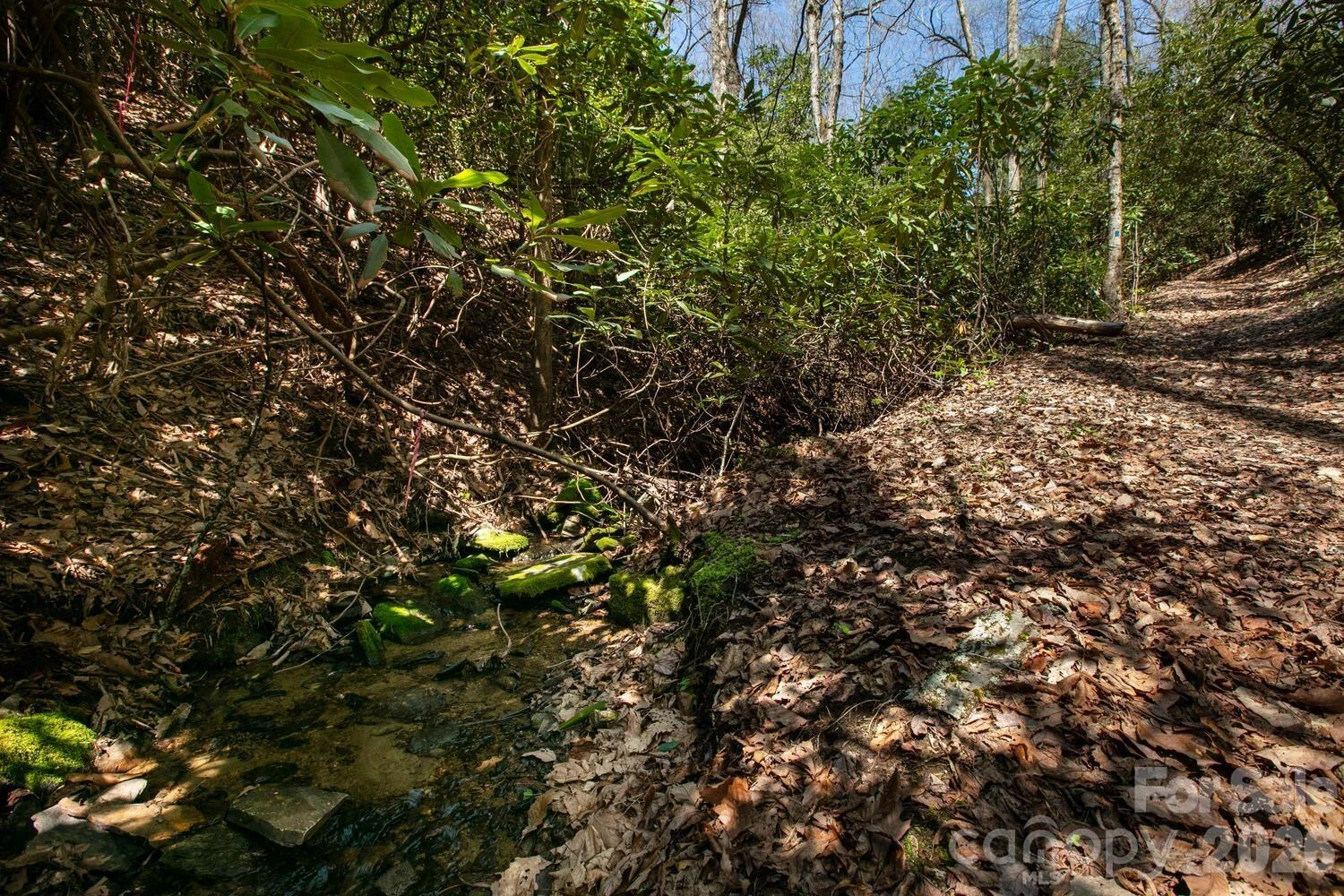 148 Spring Song Lane #6 - Photo 21