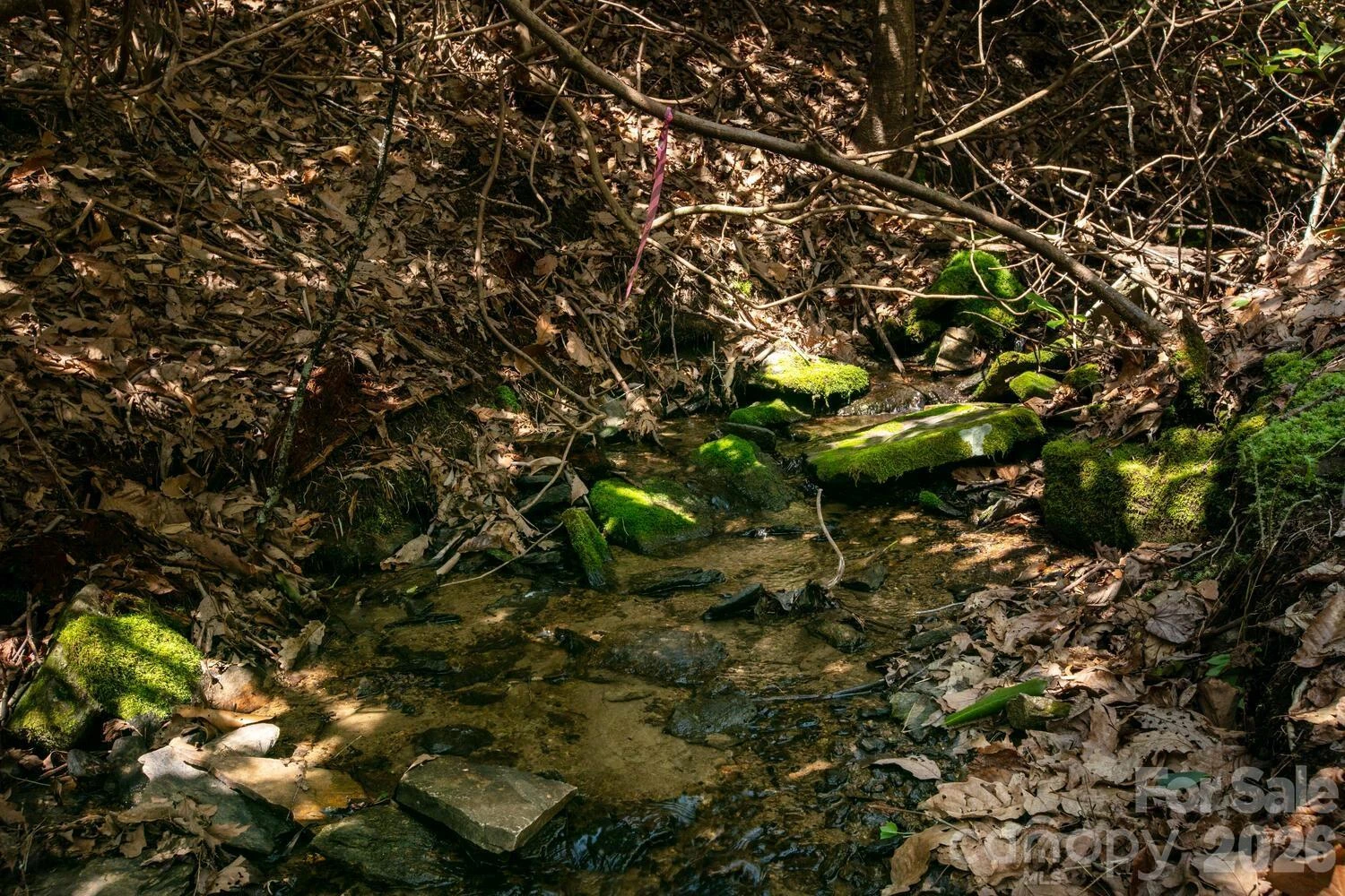 148 Spring Song Lane #6 - Photo 22