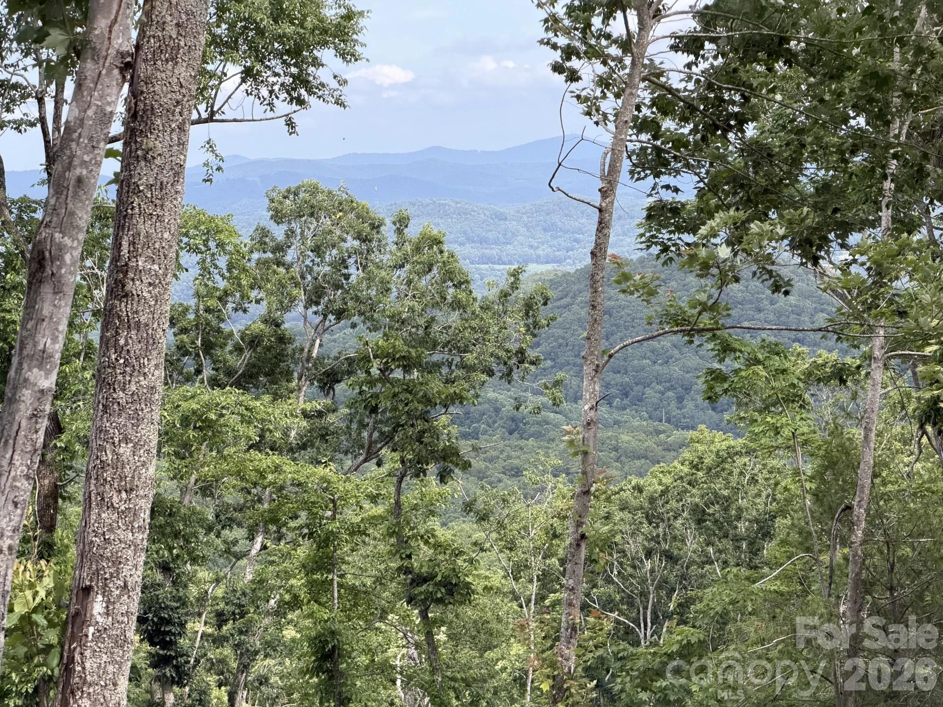 148 Spring Song Lane #6 - Photo 5