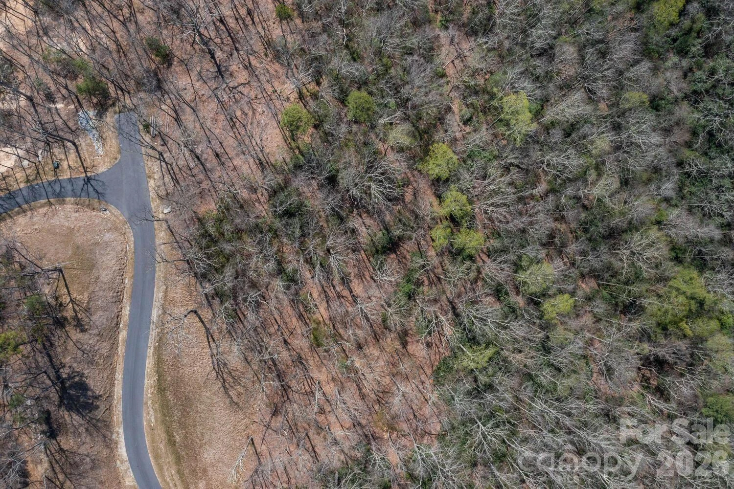 148 Spring Song Lane #6 - Photo 9