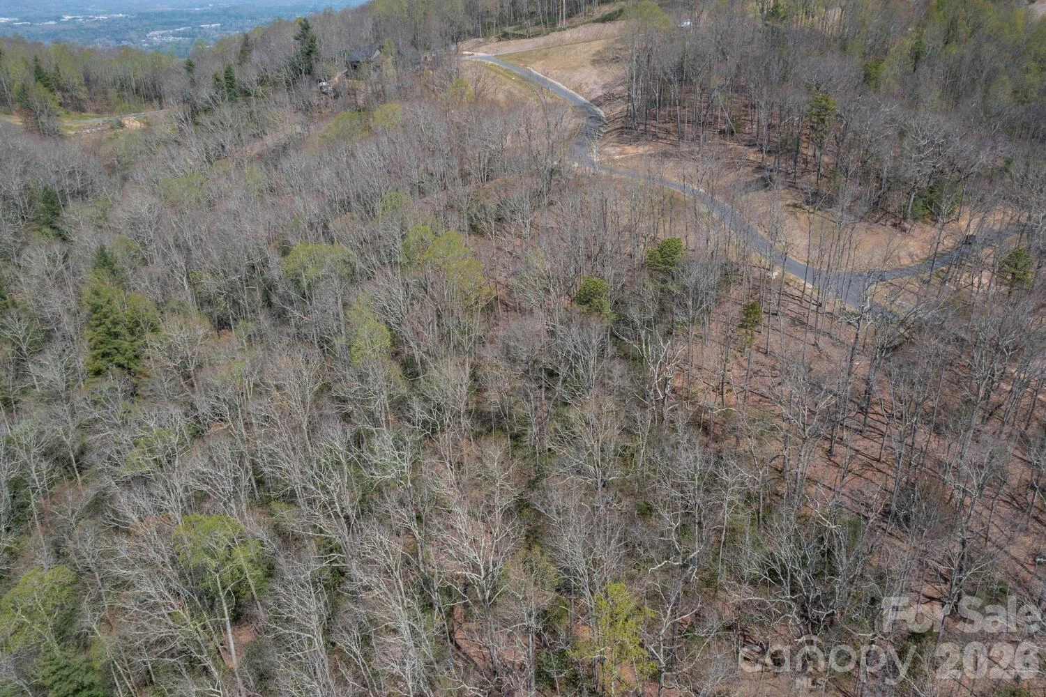 148 Spring Song Lane #6 - Photo 11