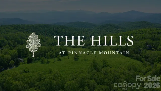 4105 Pinnacle Mountain Road, Zirconia, NC, 28790