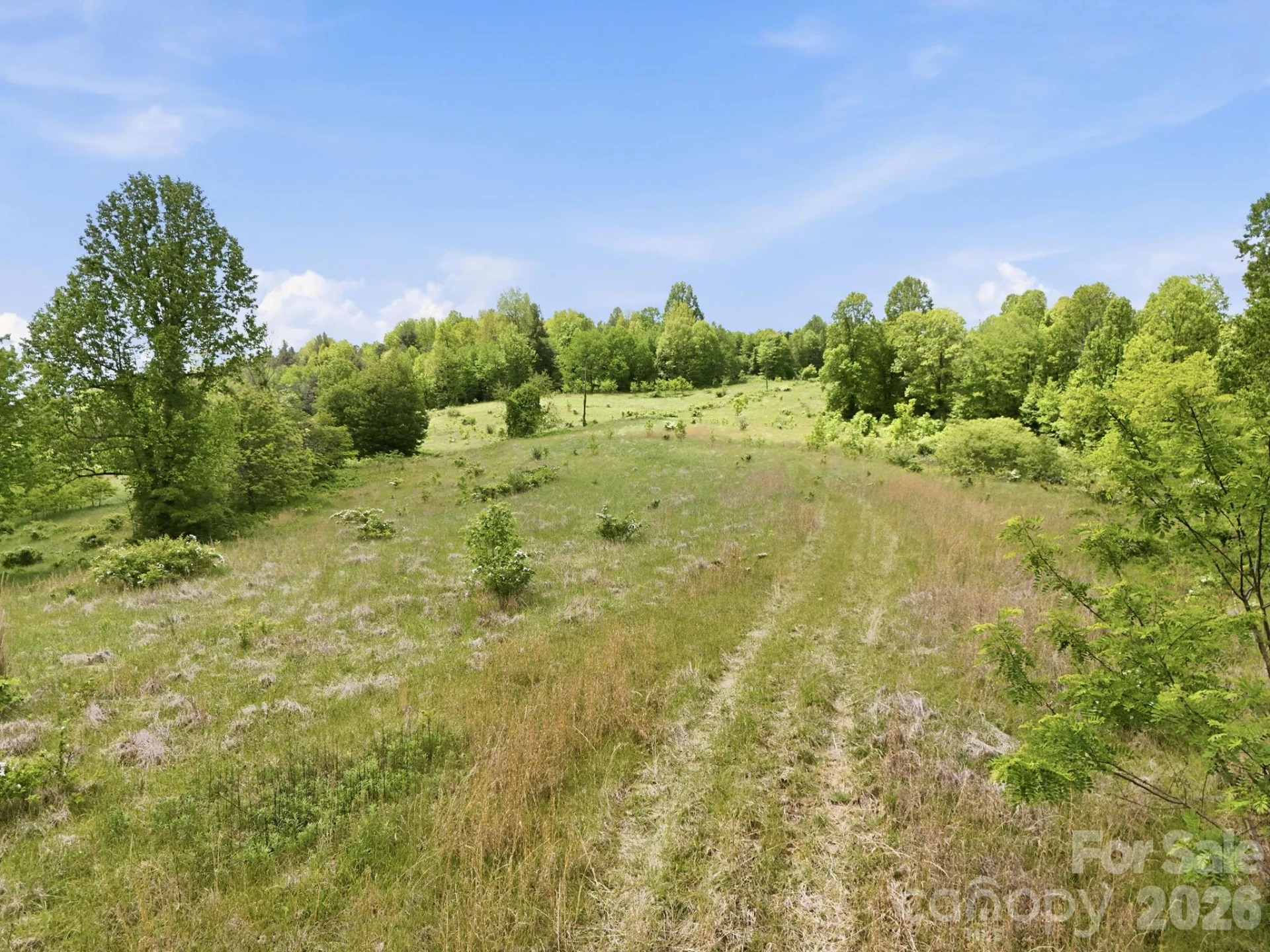 4105 Pinnacle Mountain Road - Photo 12
