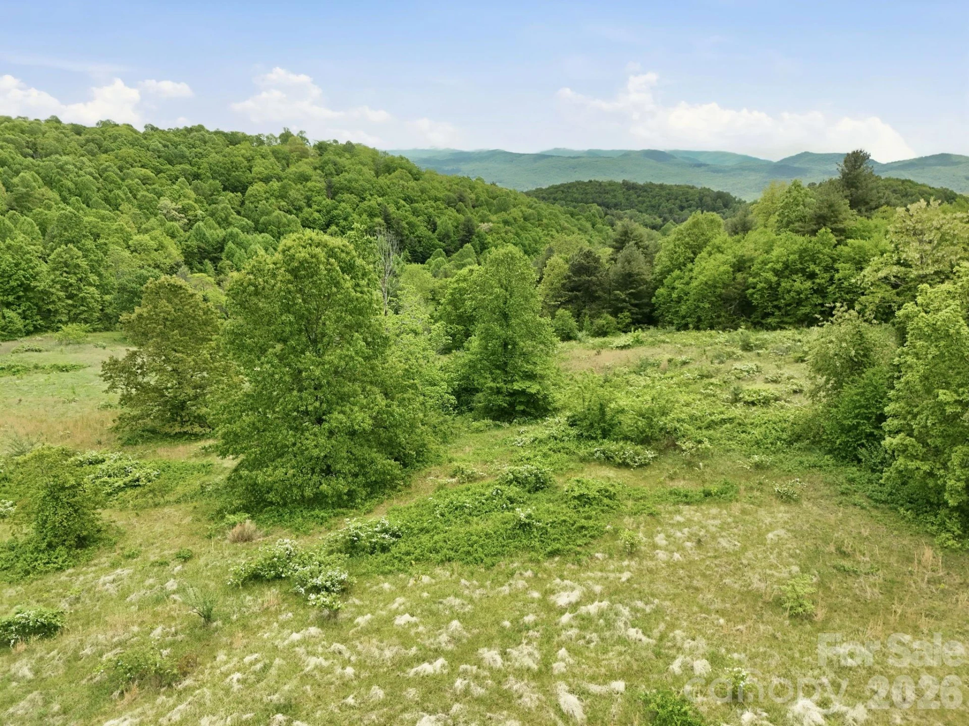 4105 Pinnacle Mountain Road - Photo 21
