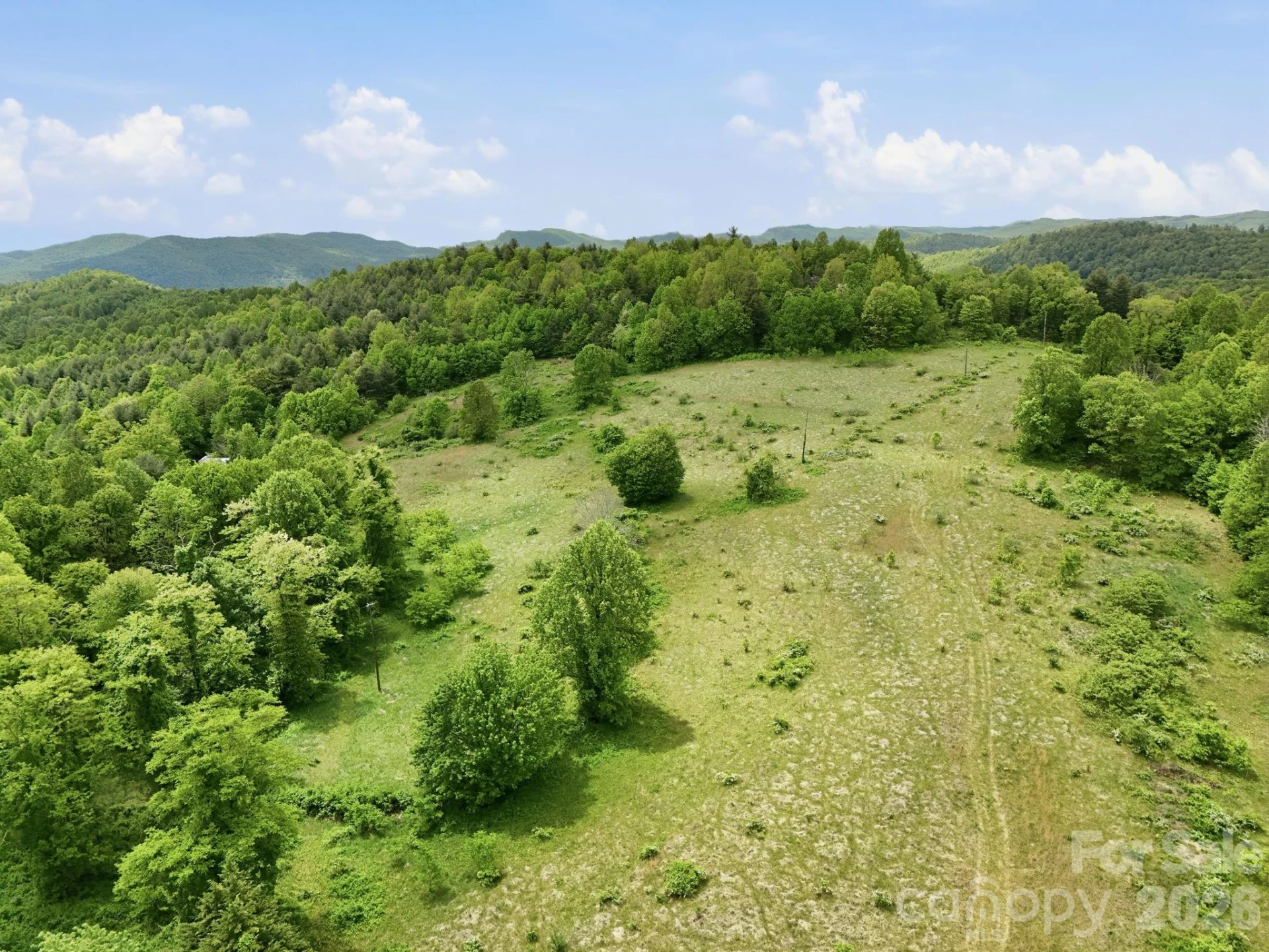 4105 Pinnacle Mountain Road - Photo 4
