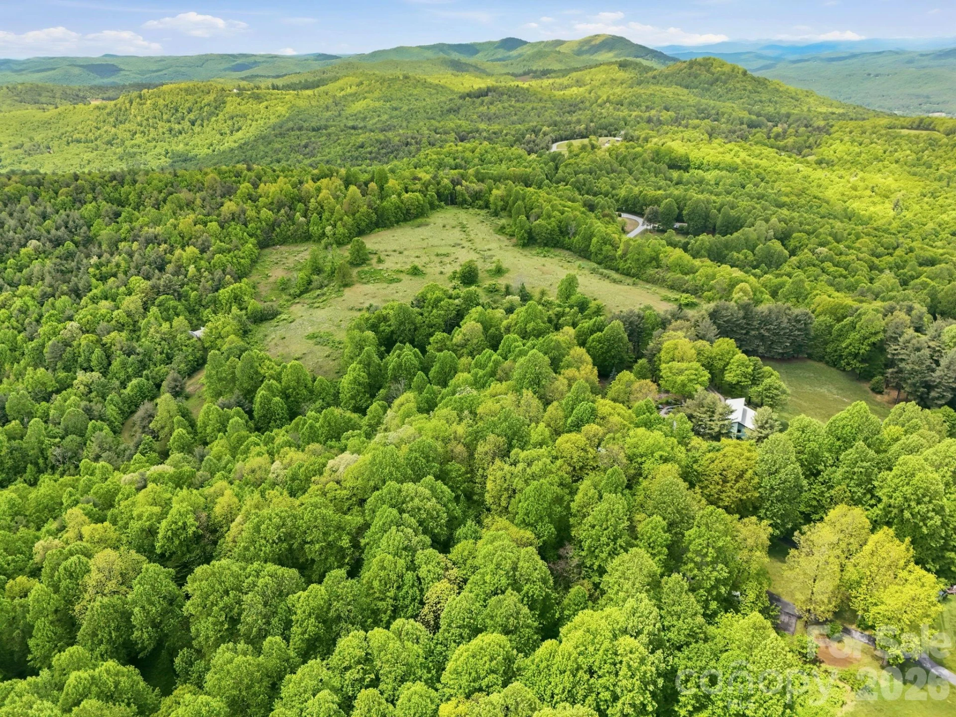 4105 Pinnacle Mountain Road - Photo 5