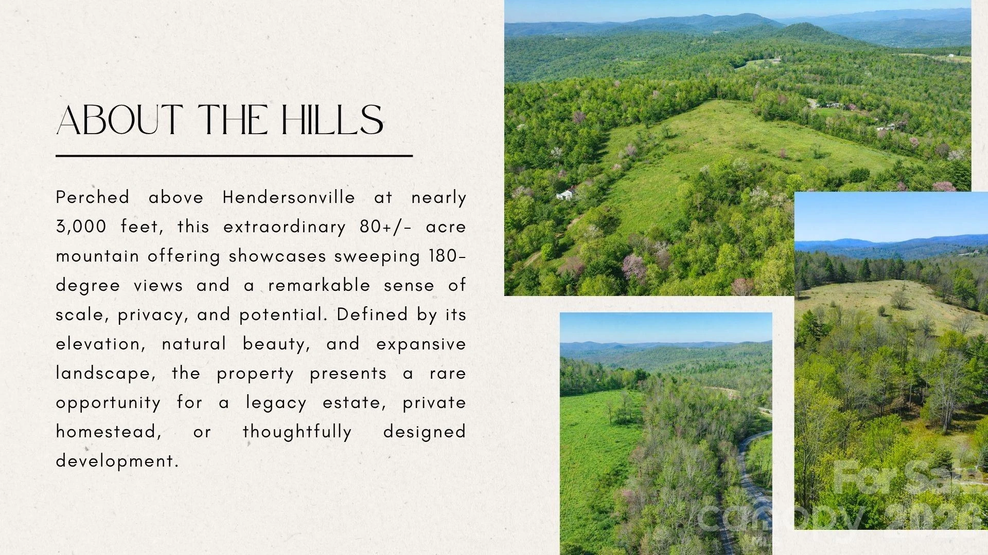 4105 Pinnacle Mountain Road - Photo 6