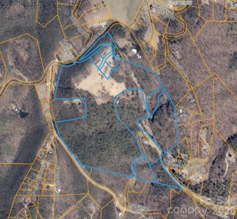4105 Pinnacle Mountain Road - Photo 10
