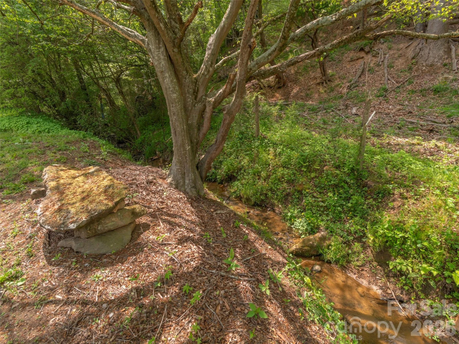 115 Gardening Frog Trail - Photo 18