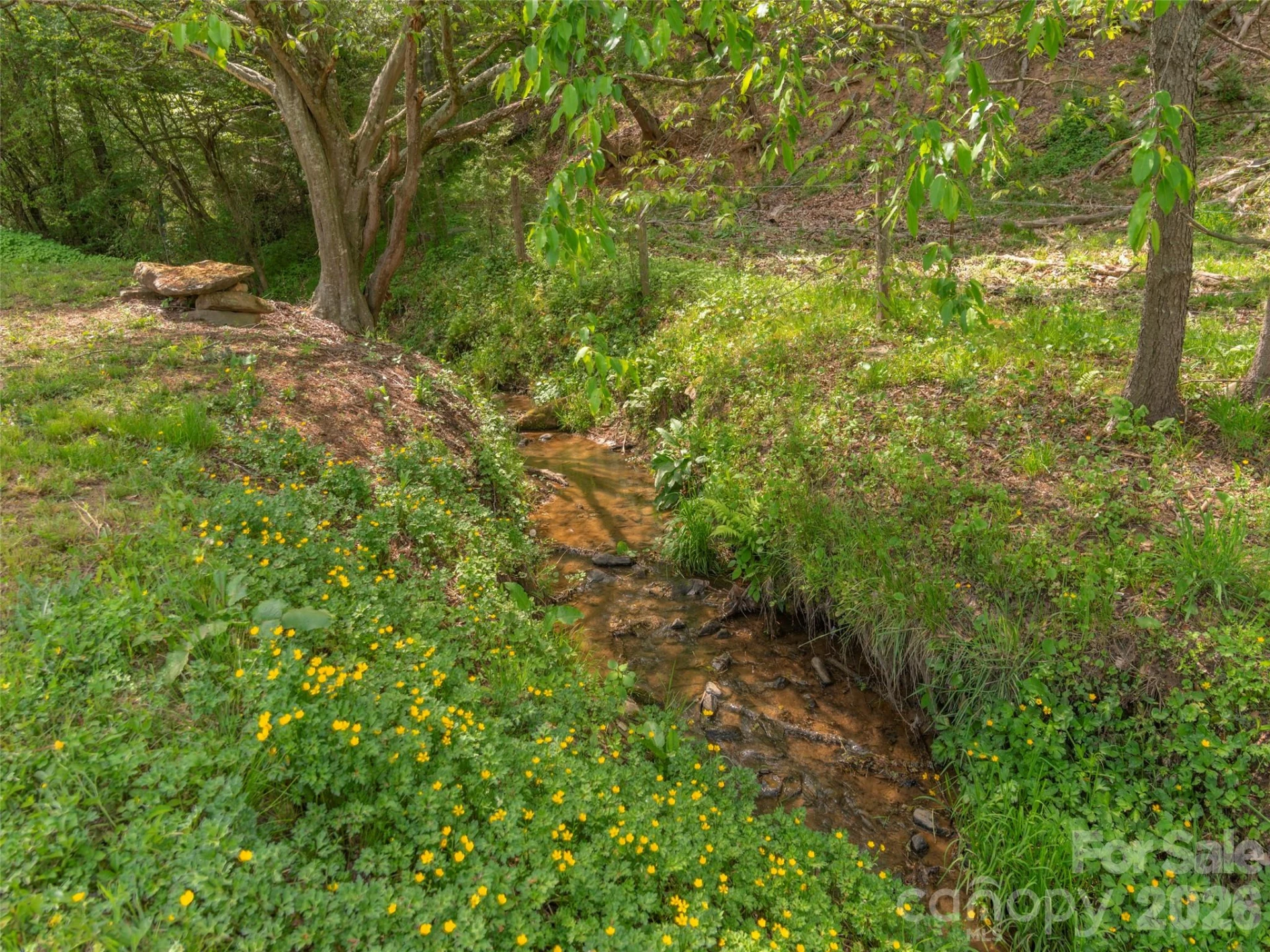 115 Gardening Frog Trail - Photo 19