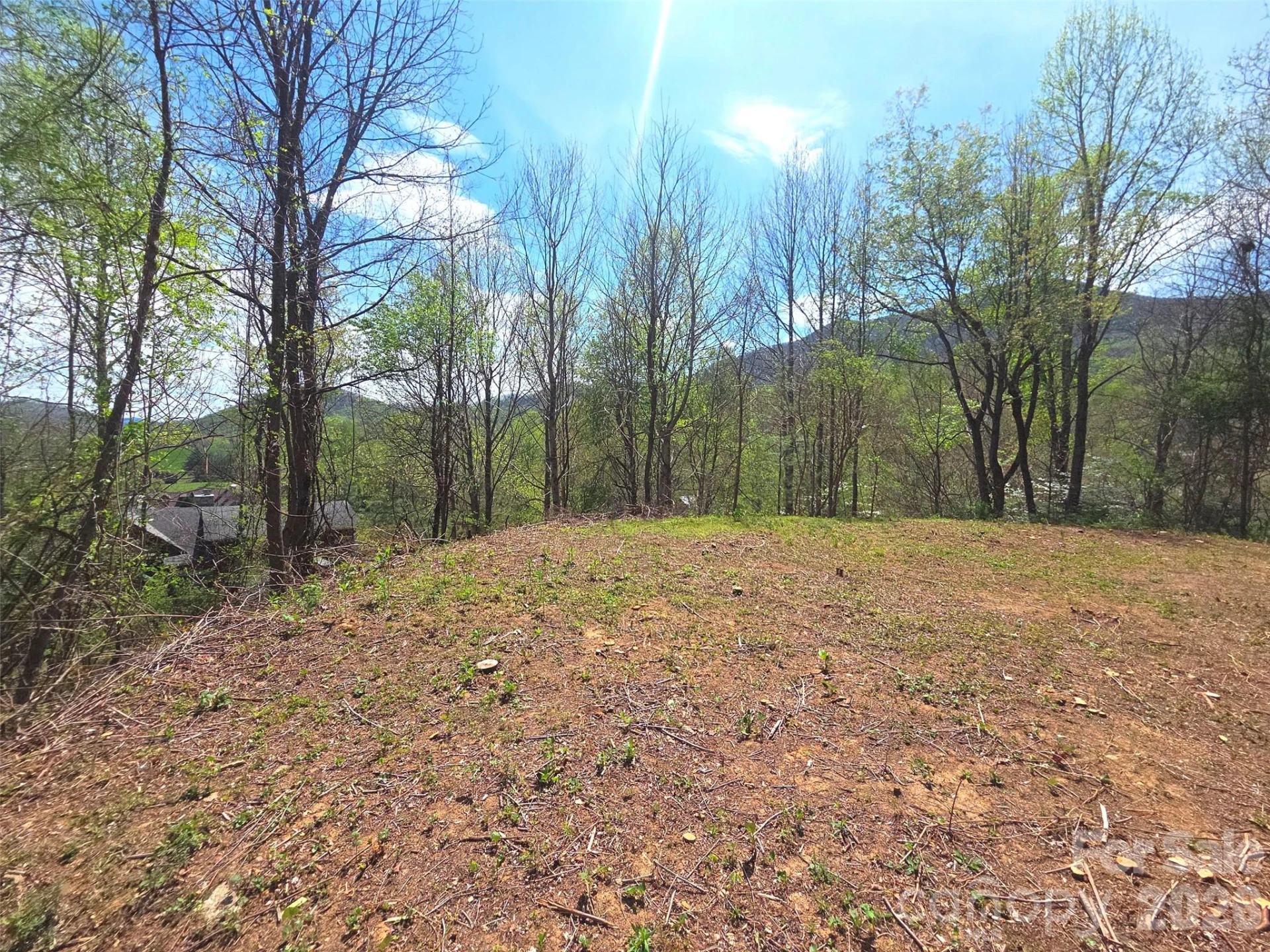 50 Turtle Rock Lane #6 - Photo 7