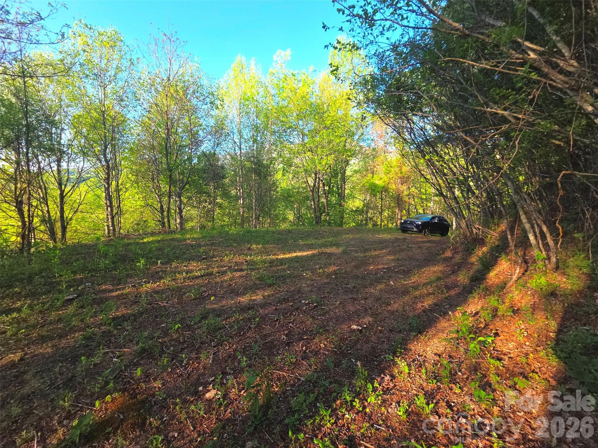 50 Turtle Rock Lane #6