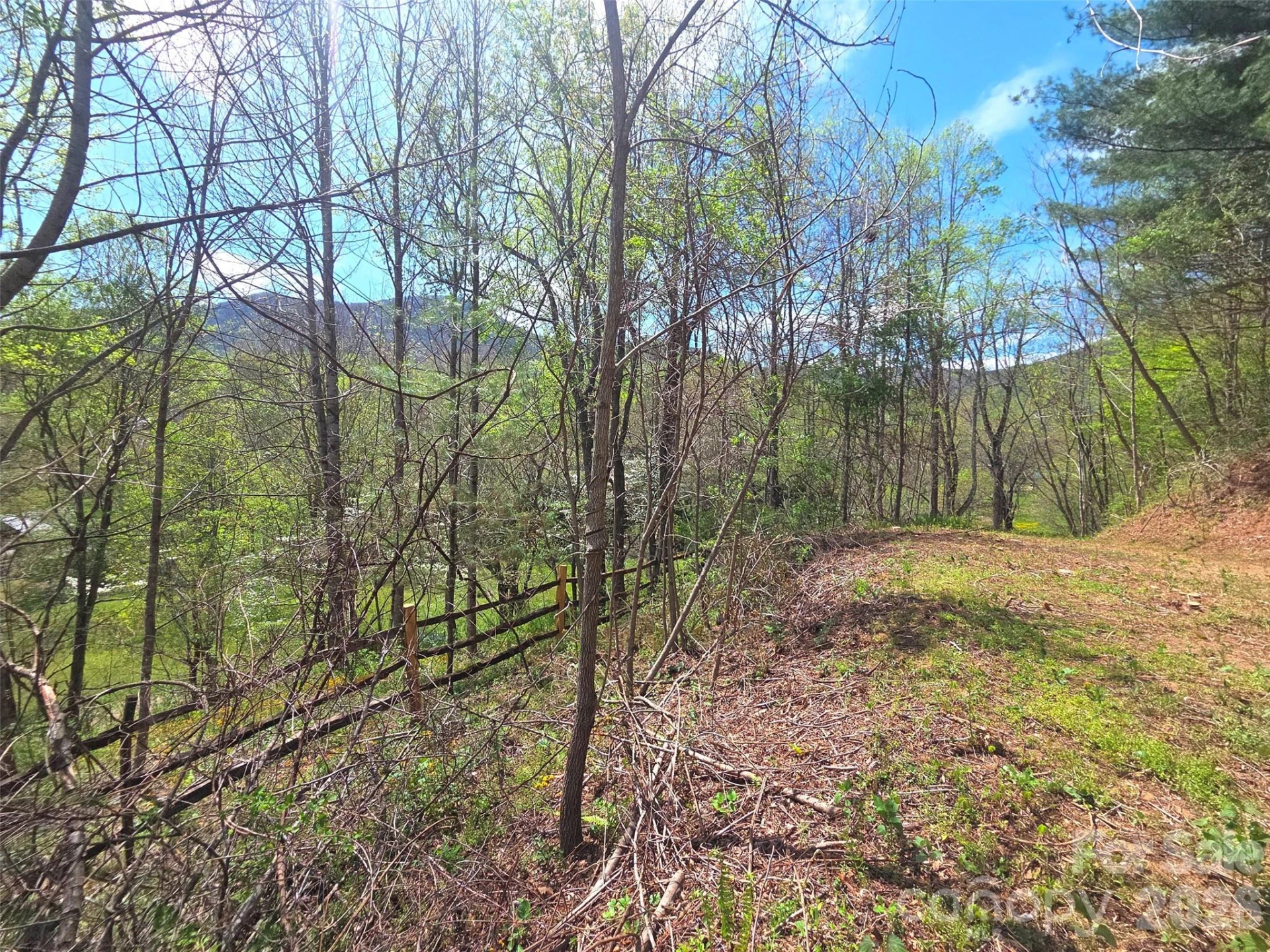 50 Turtle Rock Lane #6 - Photo 14