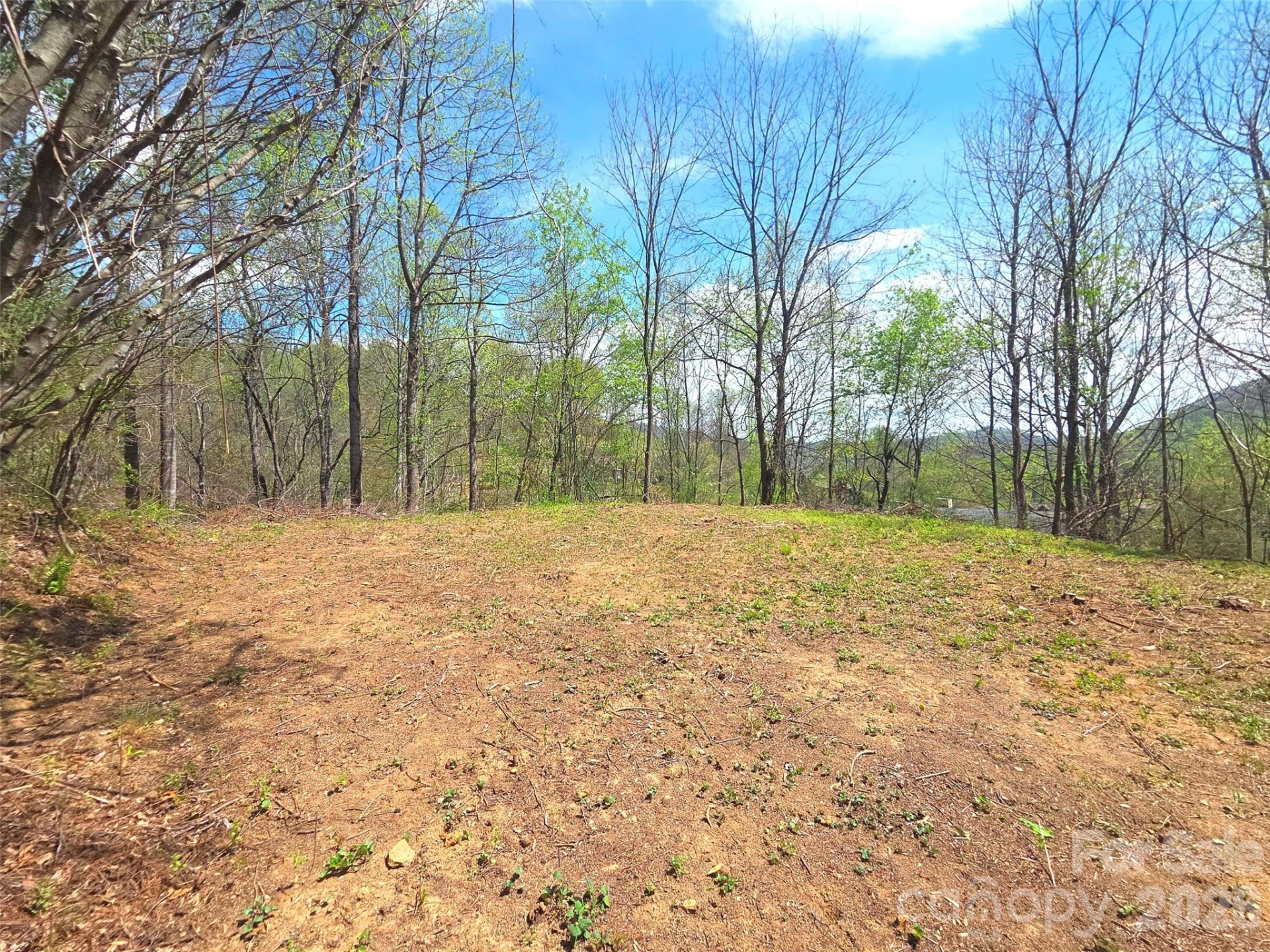 50 Turtle Rock Lane #6 - Photo 16