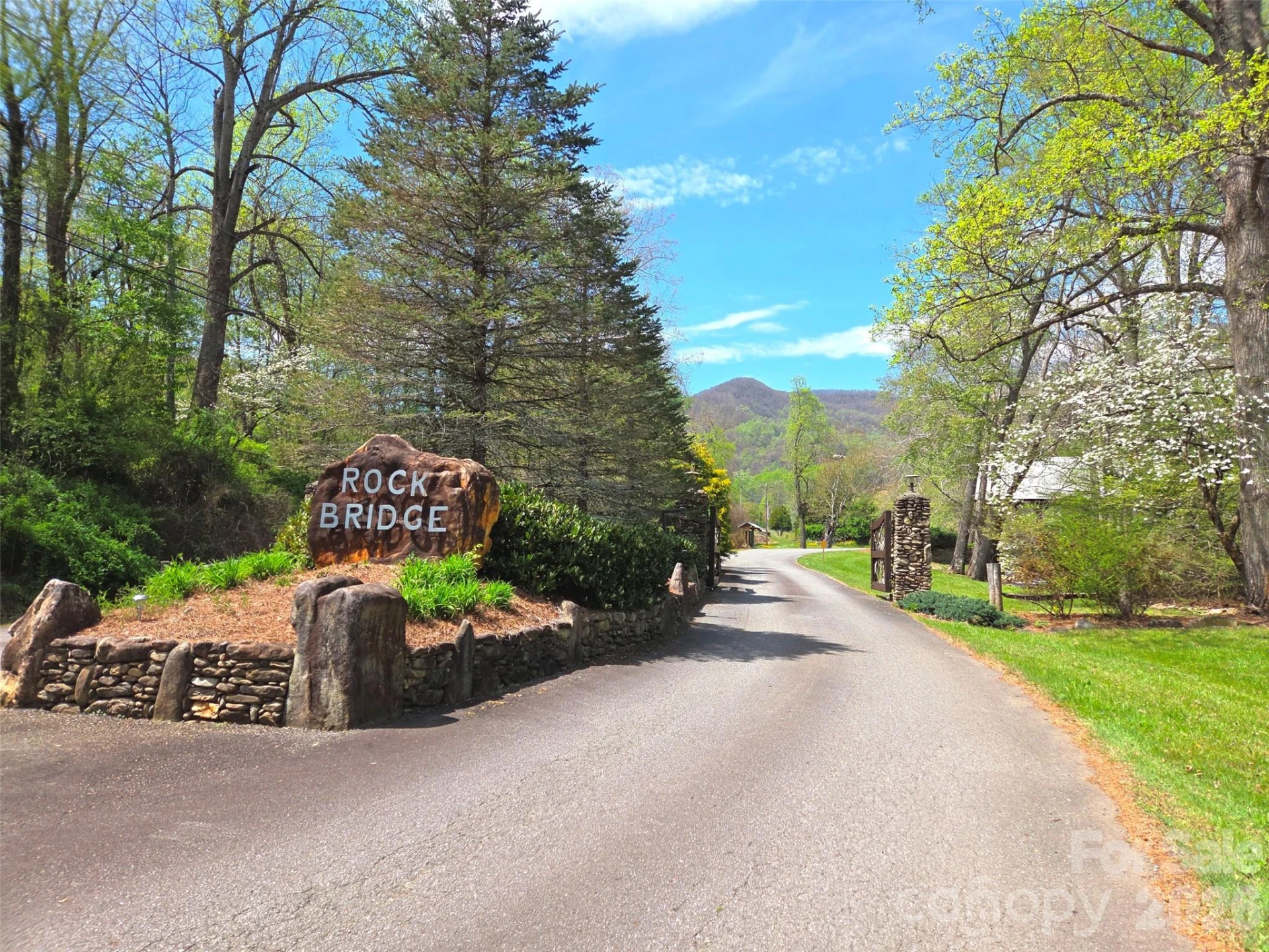 50 Turtle Rock Lane #6 - Photo 8