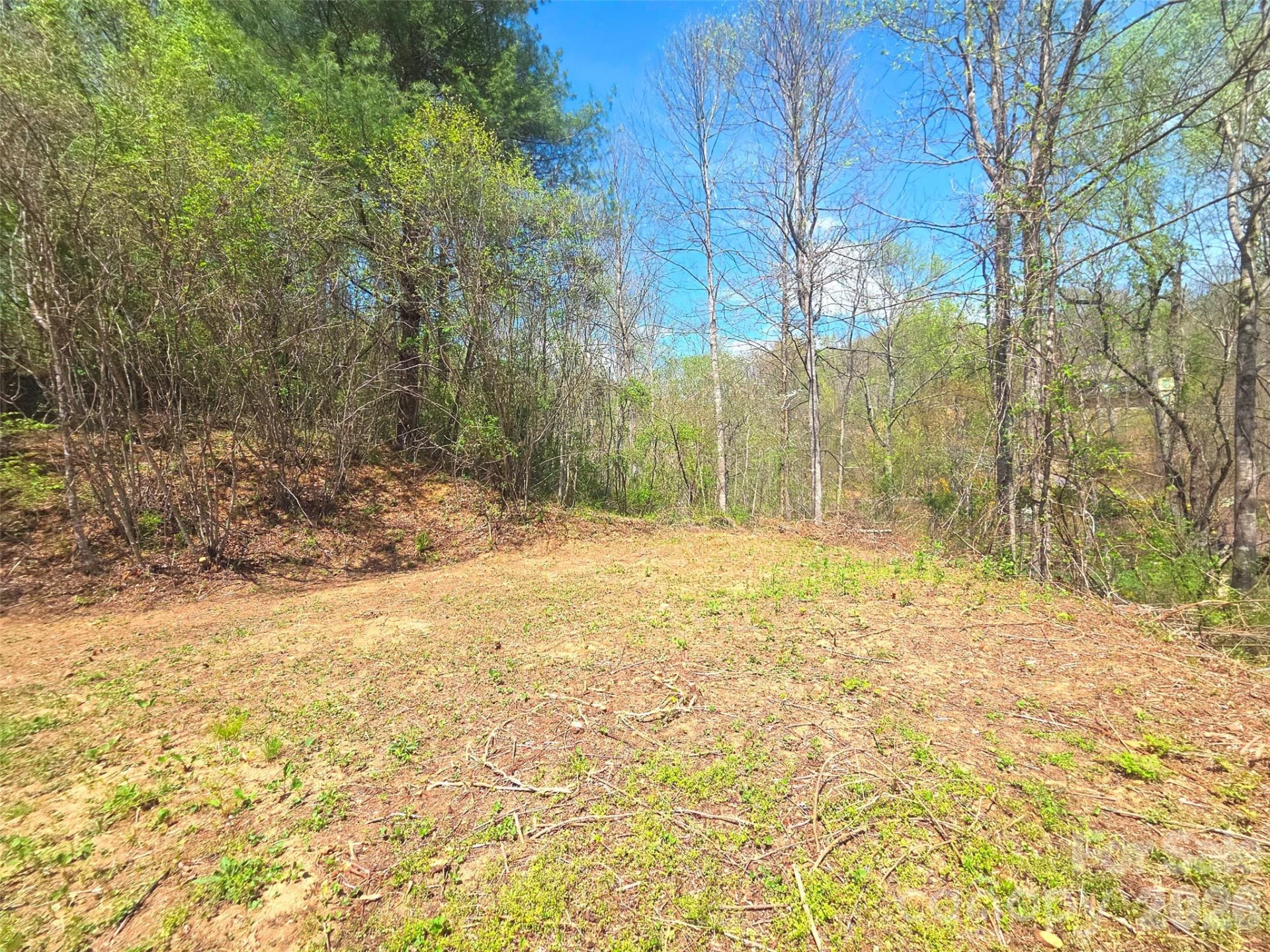 50 Turtle Rock Lane #6 - Photo 6