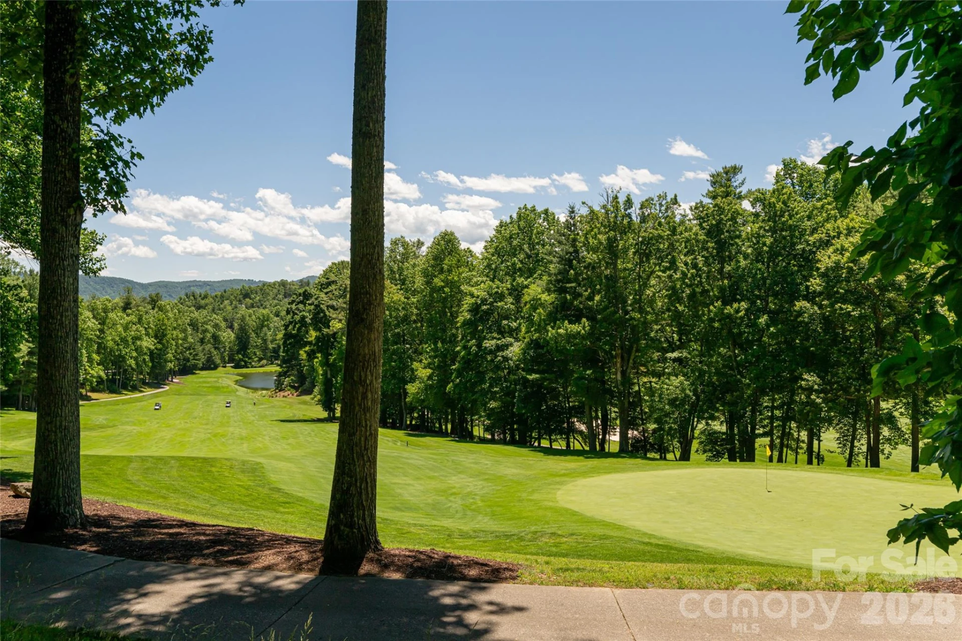 109 Little Cherokee Ridge - Photo 47