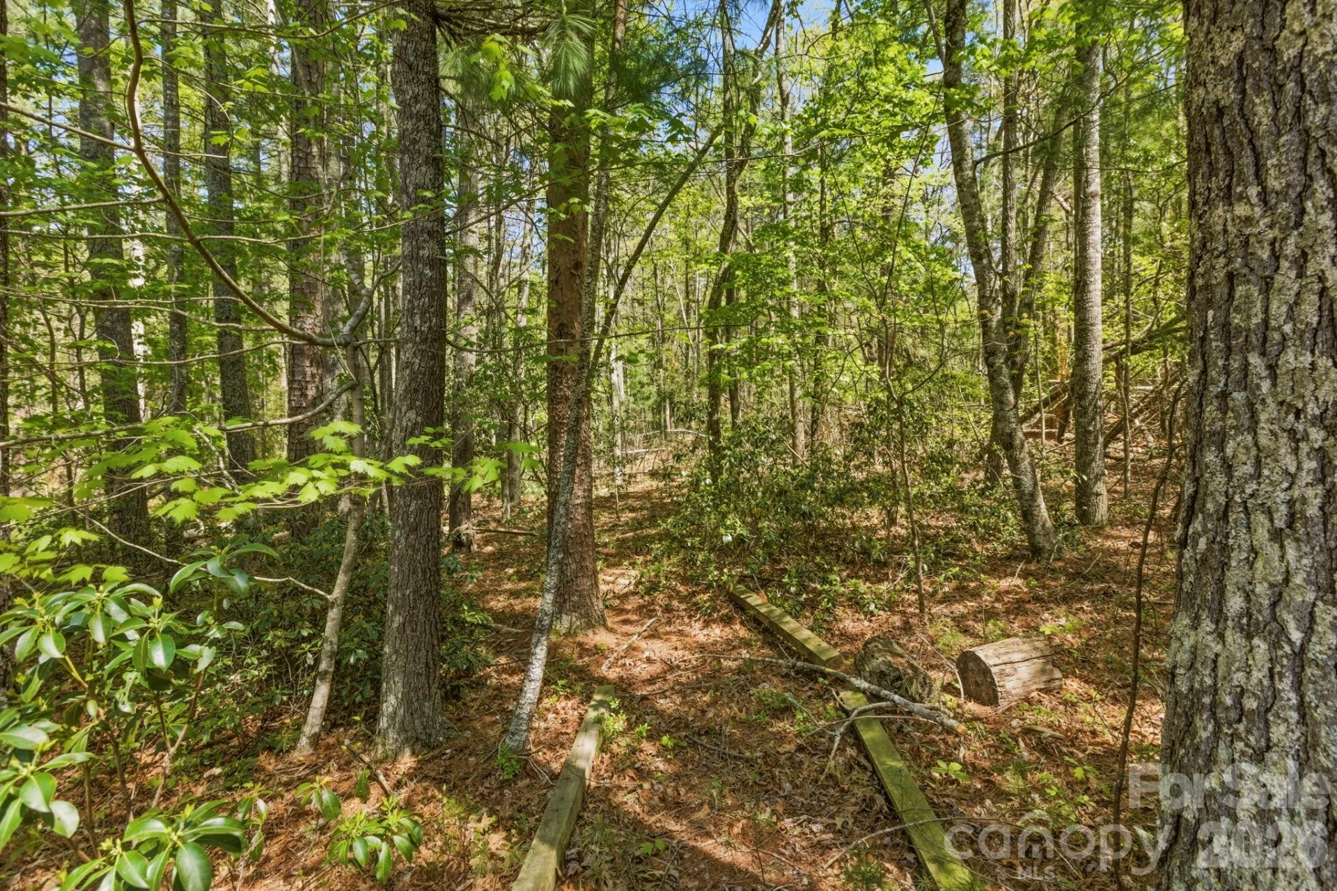 31 Ashbrook Meadows - Photo 36