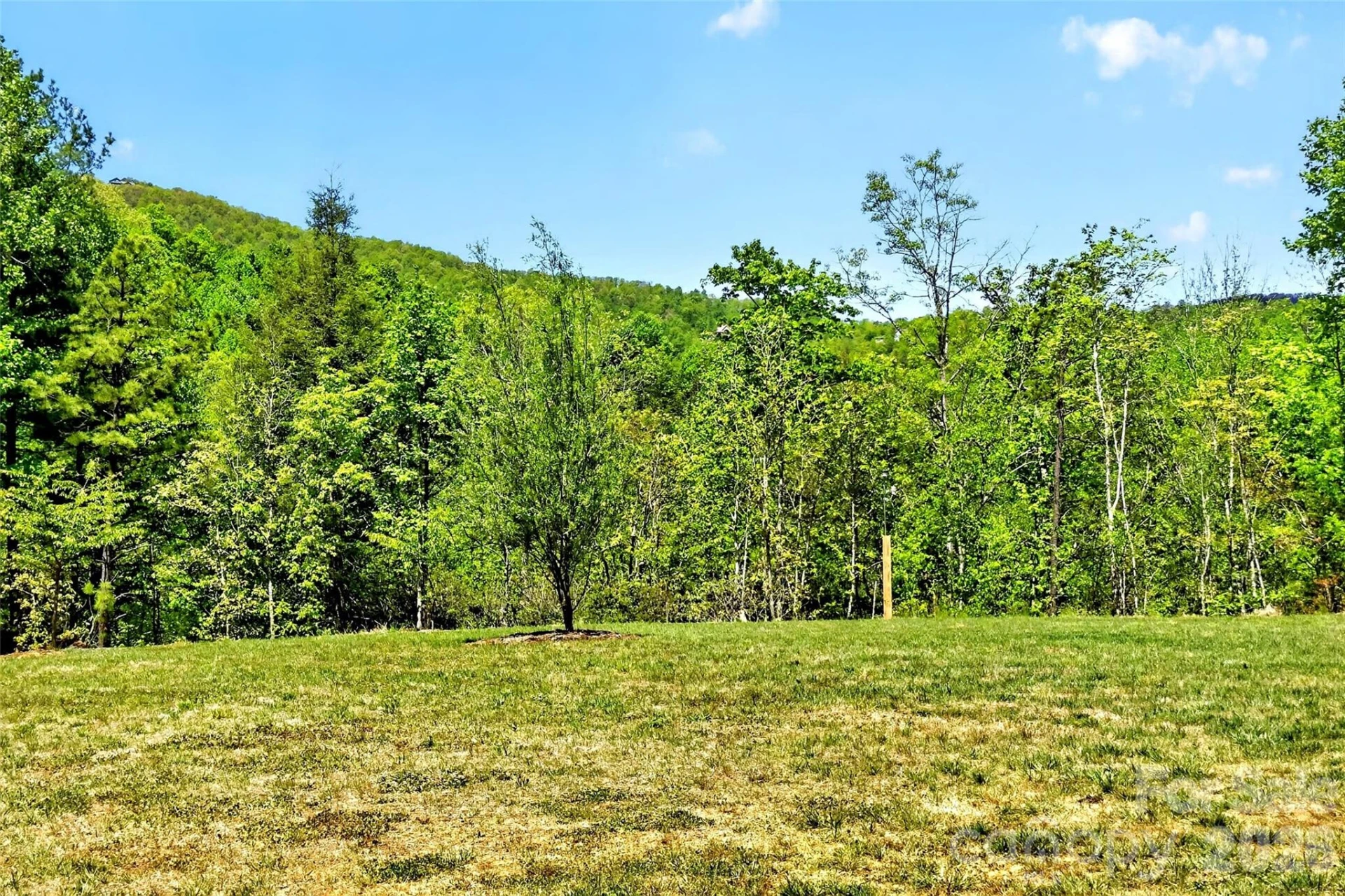 50 Glass Falls Trail #143,144 - Photo 2