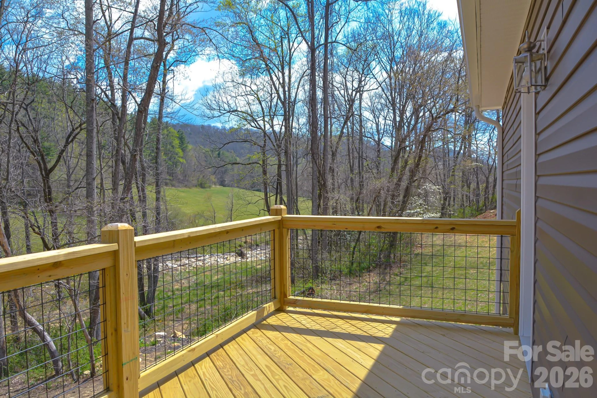 784 Bearwallow Mountain Road - Photo 4