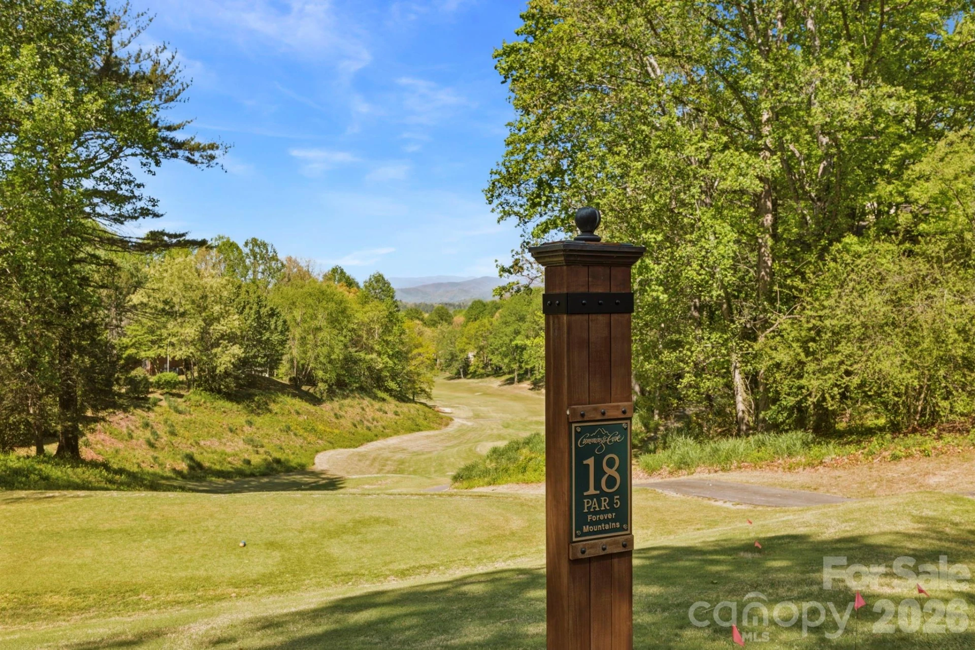 3509 Mountain Top Way - Photo 6