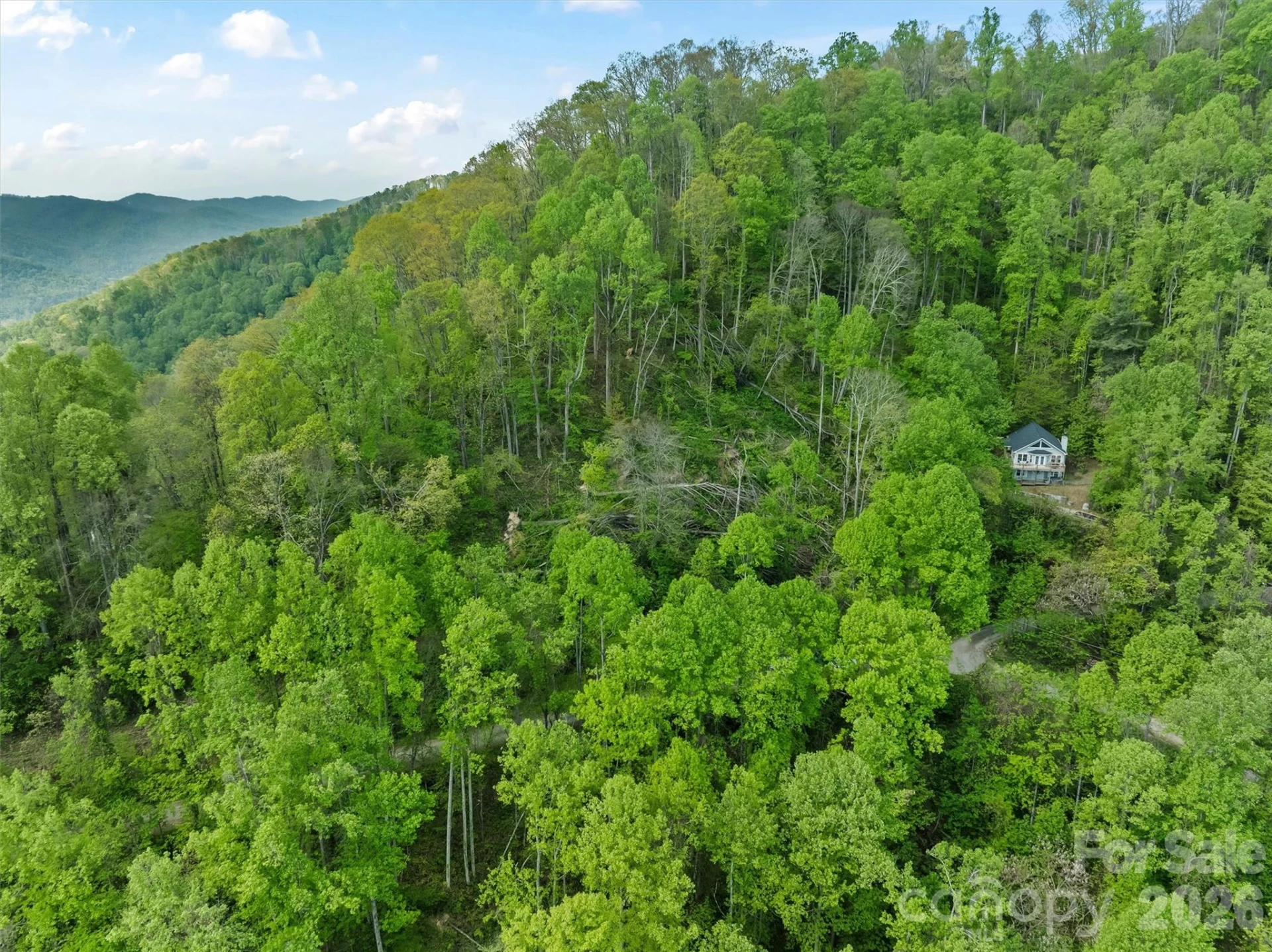 TBD Jacks Knob Road #49 - Photo 13