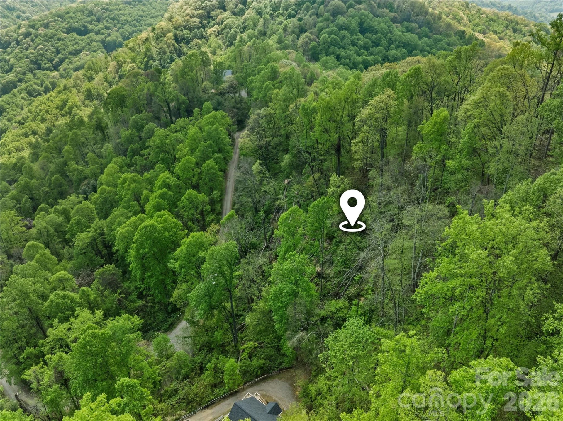 TBD Jacks Knob Road #49 - Photo 3