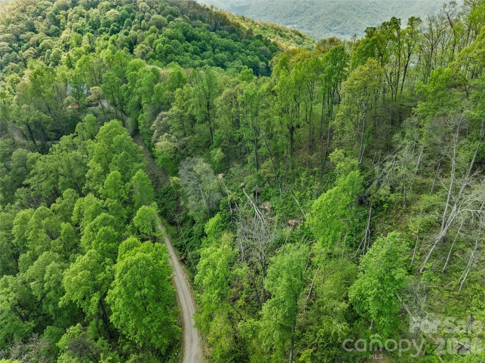 TBD Jacks Knob Road #49 - Photo 8