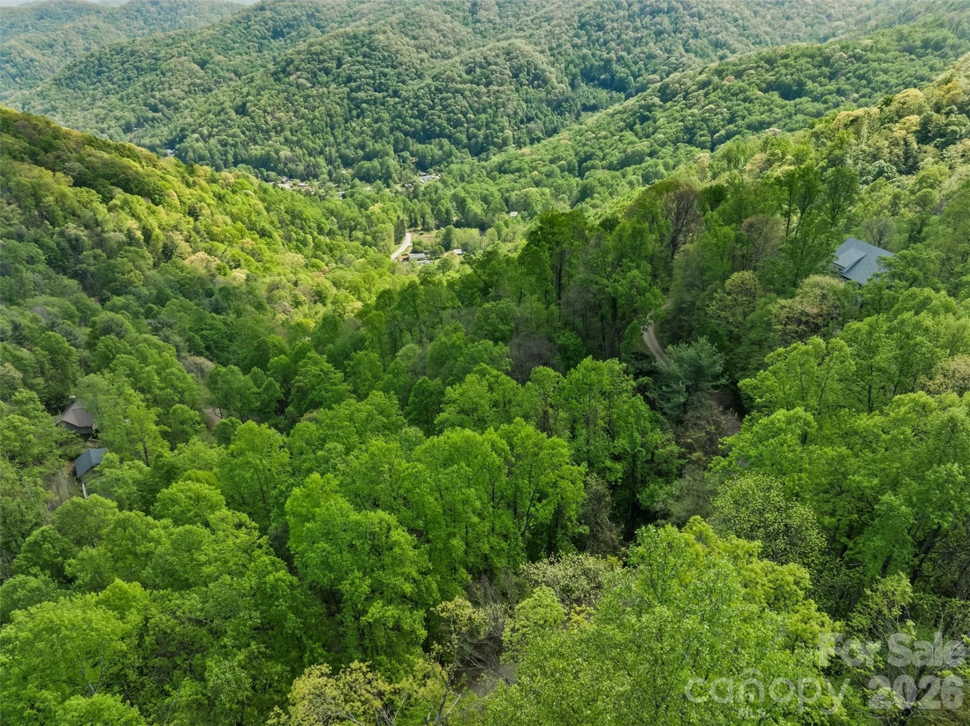 TBD Jacks Knob Road #49 - Photo 9