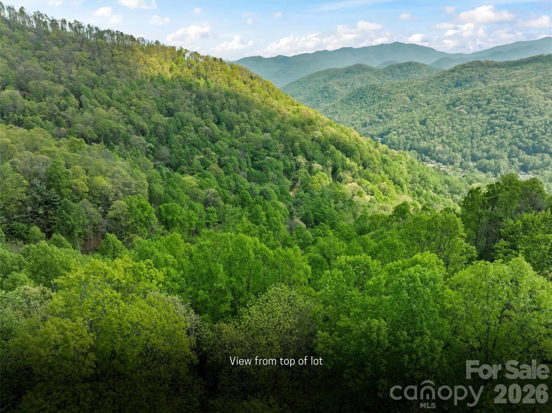 TBD Jacks Knob Road #49 - Photo 10