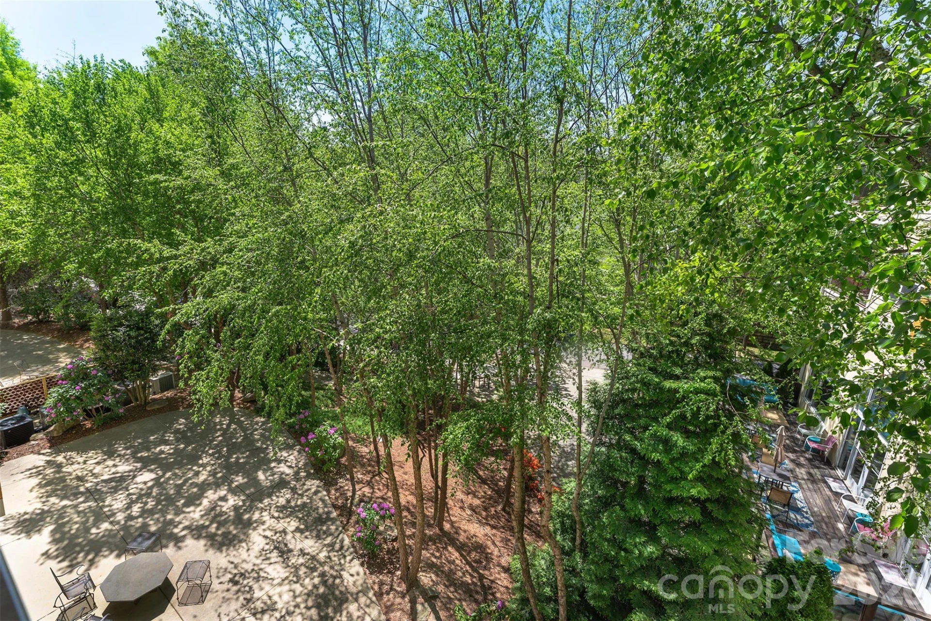155 S Lexington Avenue #B408 - Photo 22