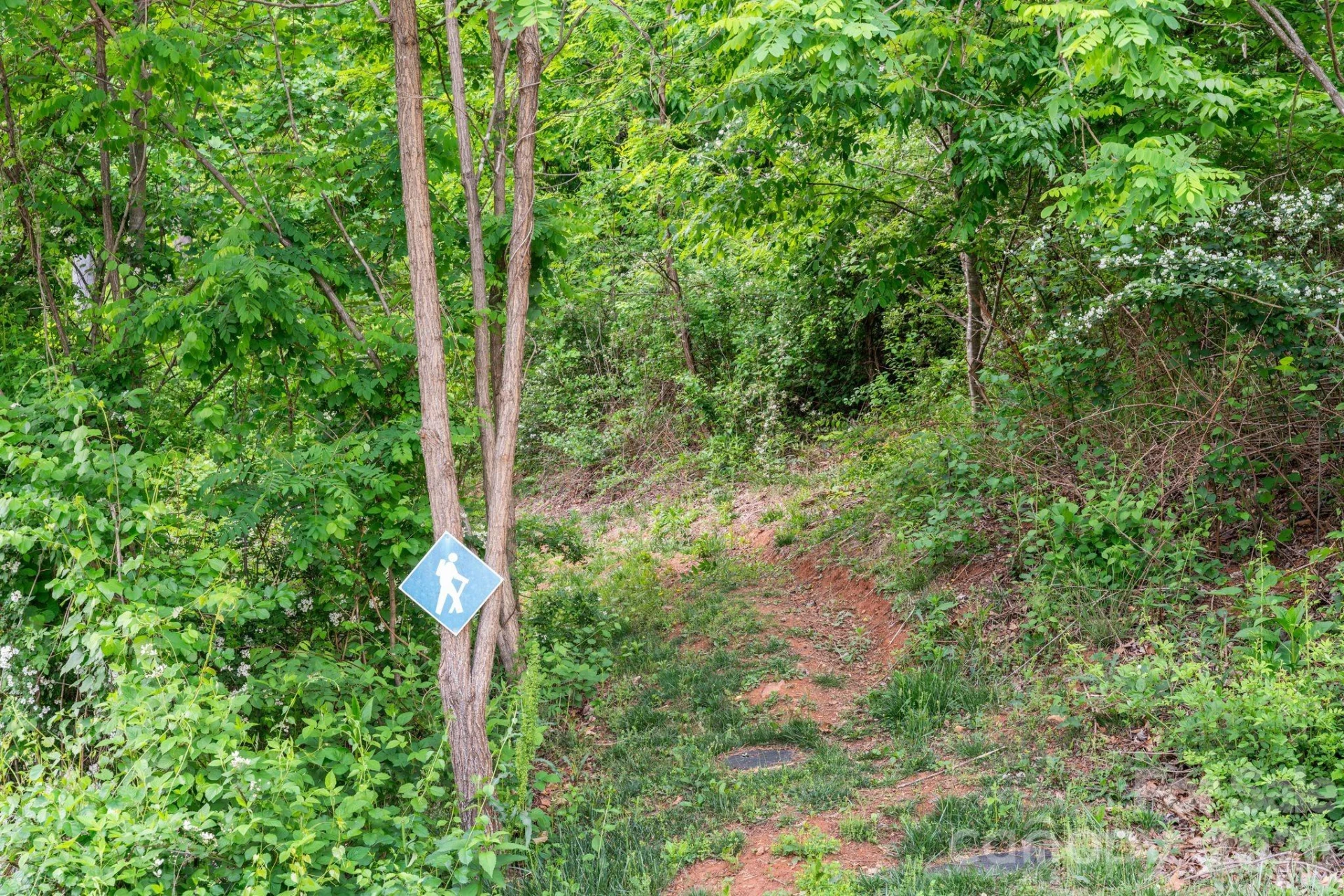 154 Wandering Oaks Way - Photo 44