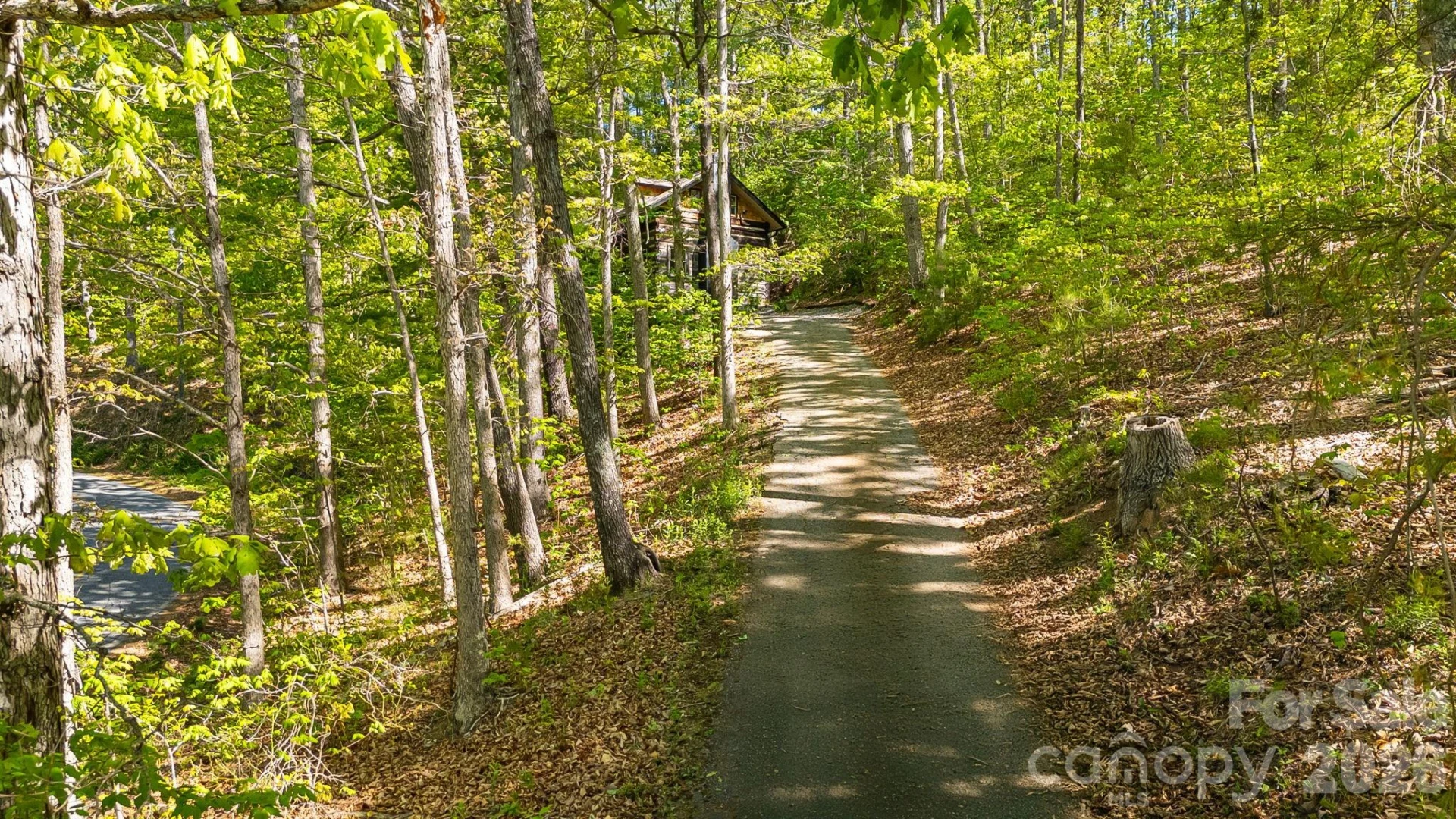 155 Spivey Mountain Road - Photo 40