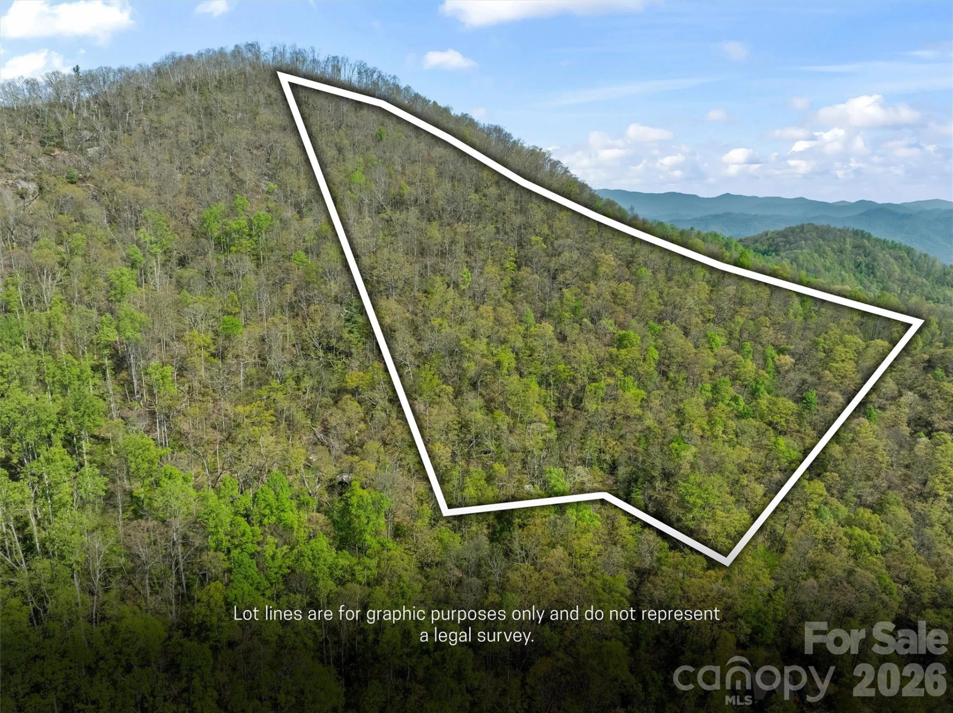 21 Reillys Bluff Road #1 - Photo 2