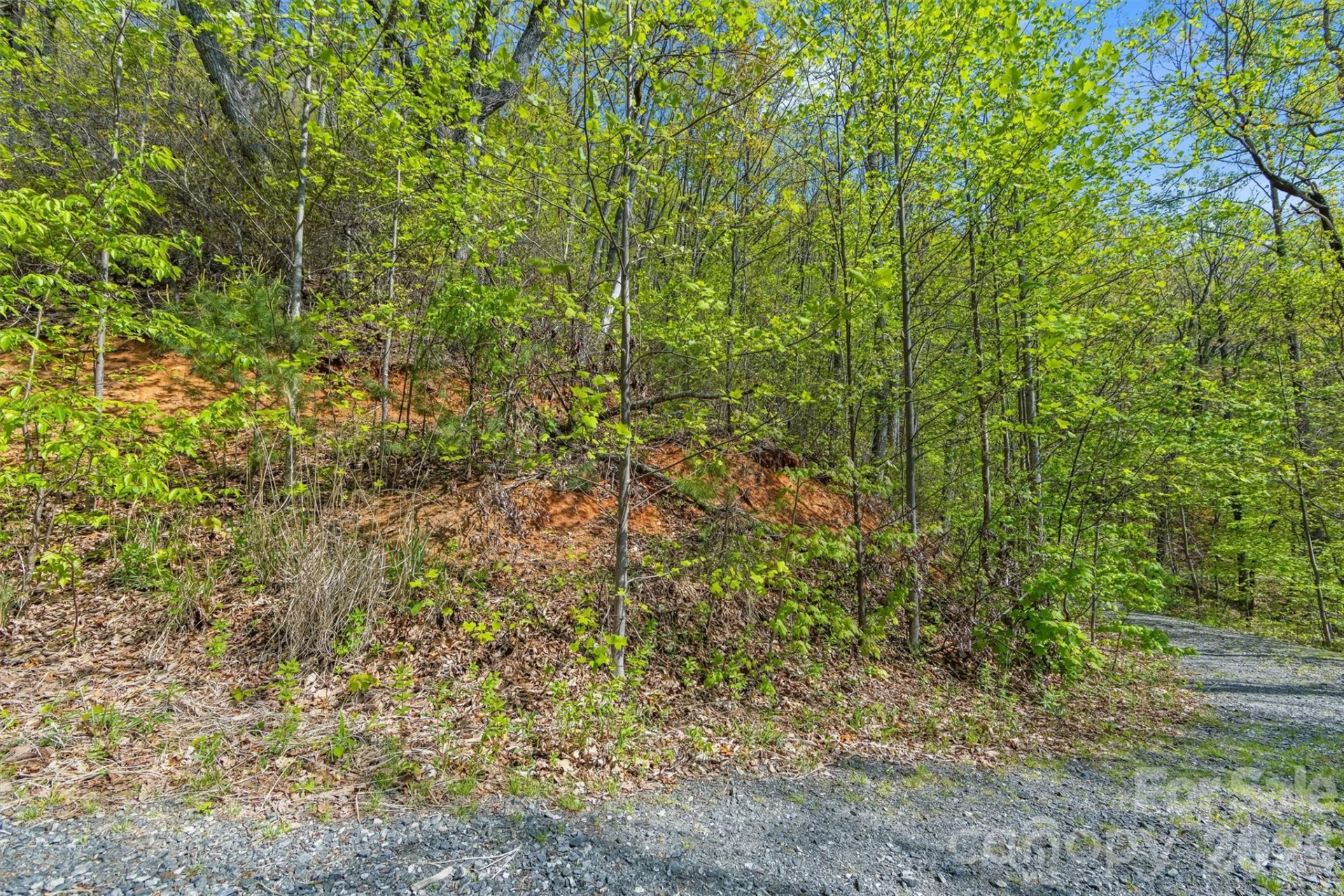 21 Reillys Bluff Road #1 - Photo 9