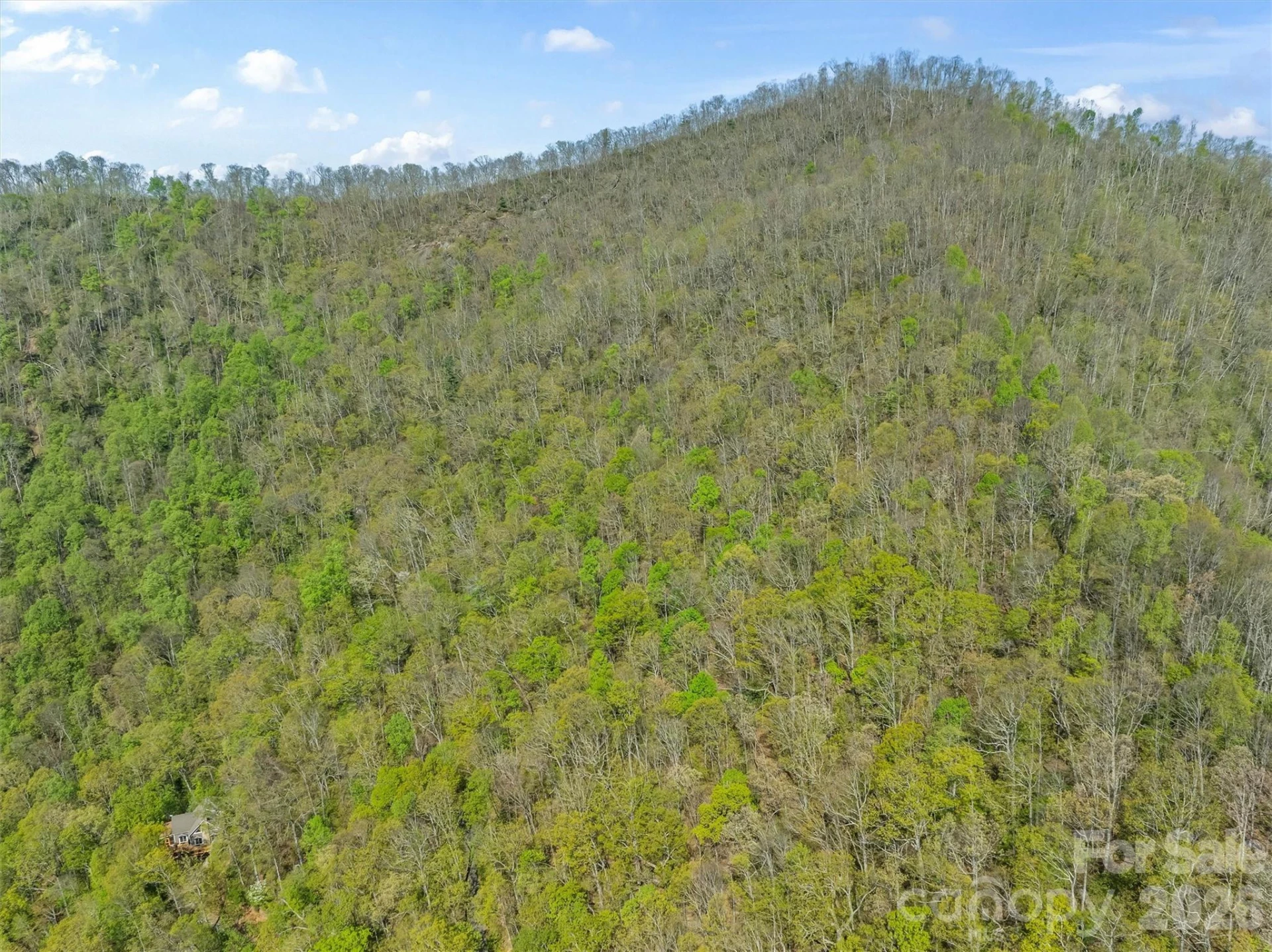 21 Reillys Bluff Road #1 - Photo 10