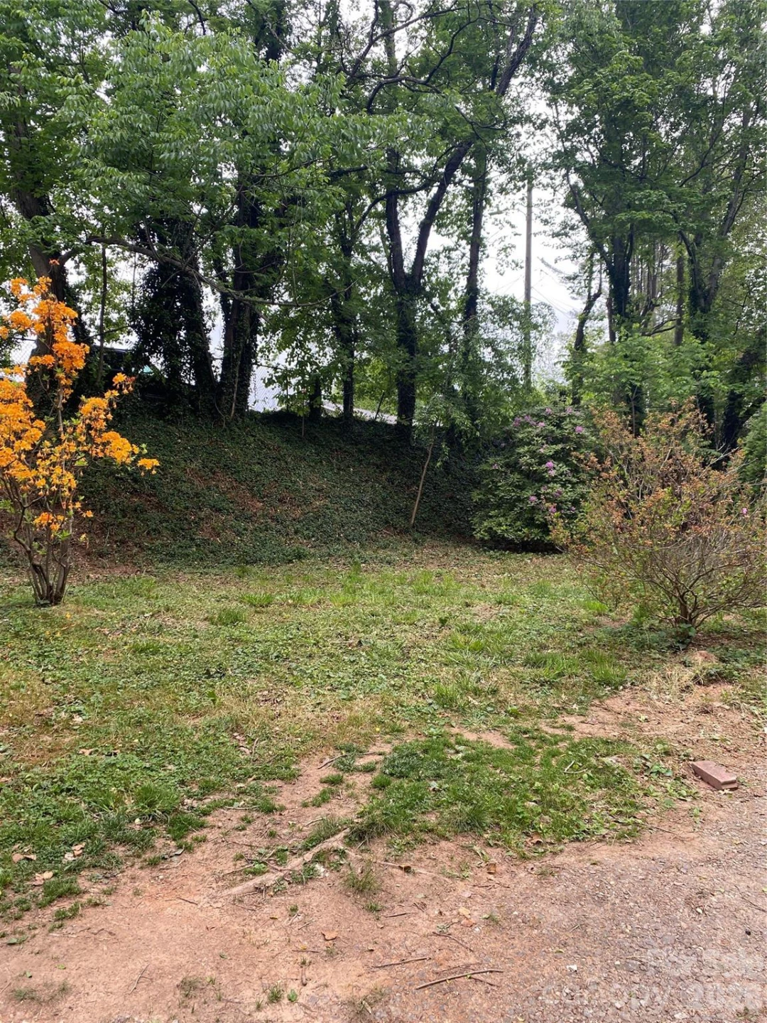 TBD Lilac Street - Photo 5