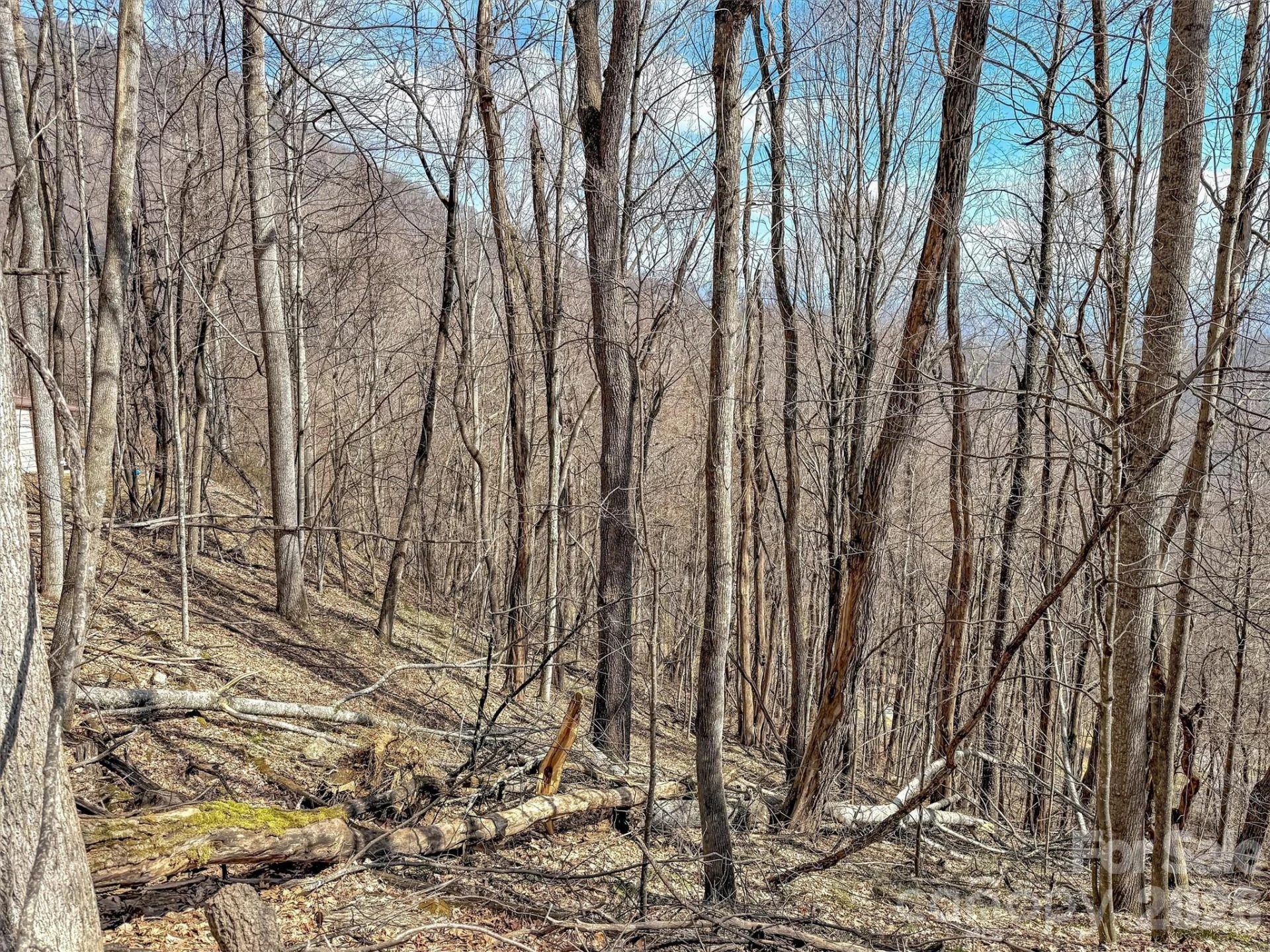 TBD Chipmunk Circle #27 - Photo 11
