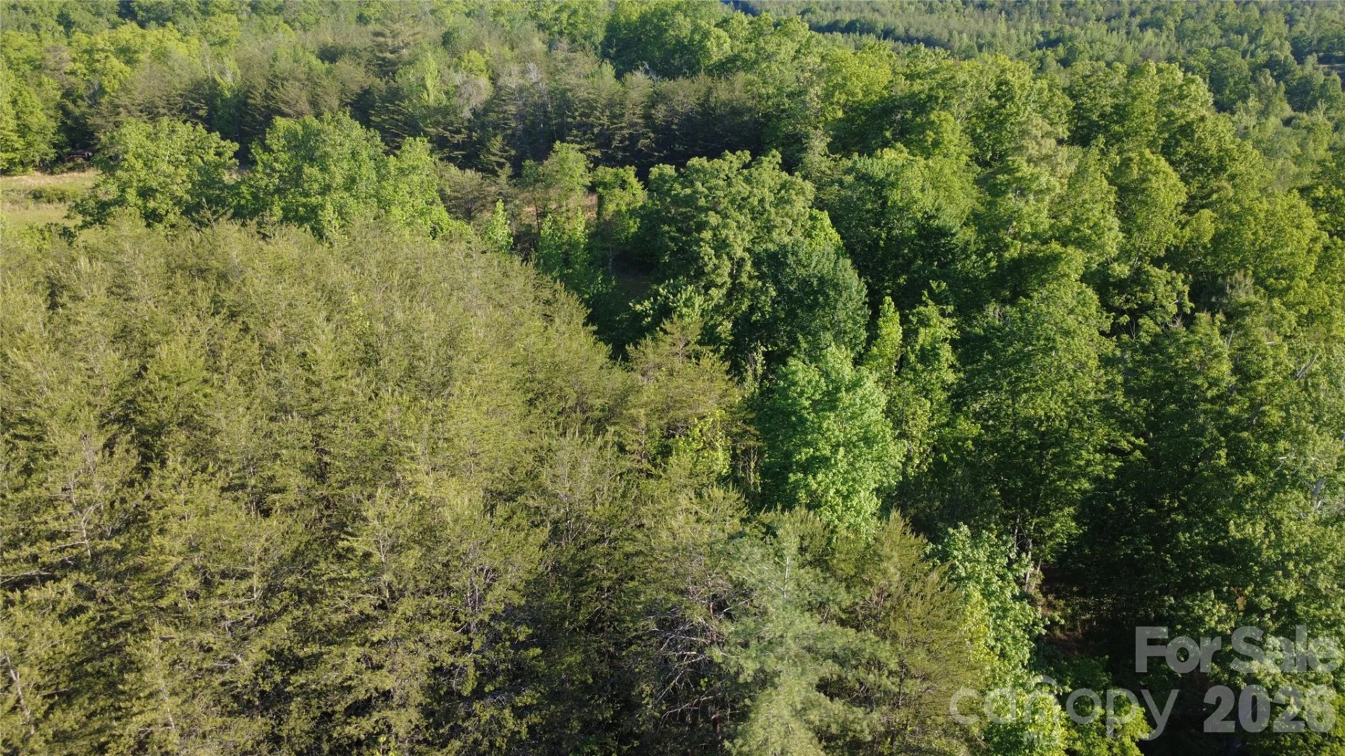 431 Ridge Point Road #7 - Photo 11