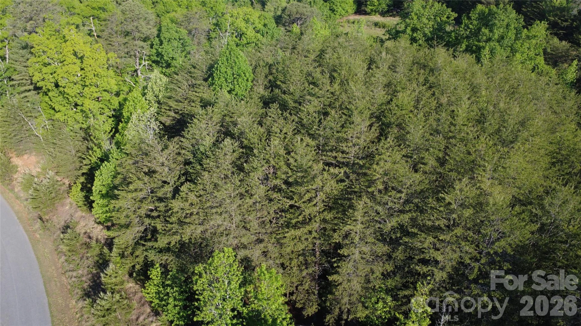 431 Ridge Point Road #7 - Photo 12