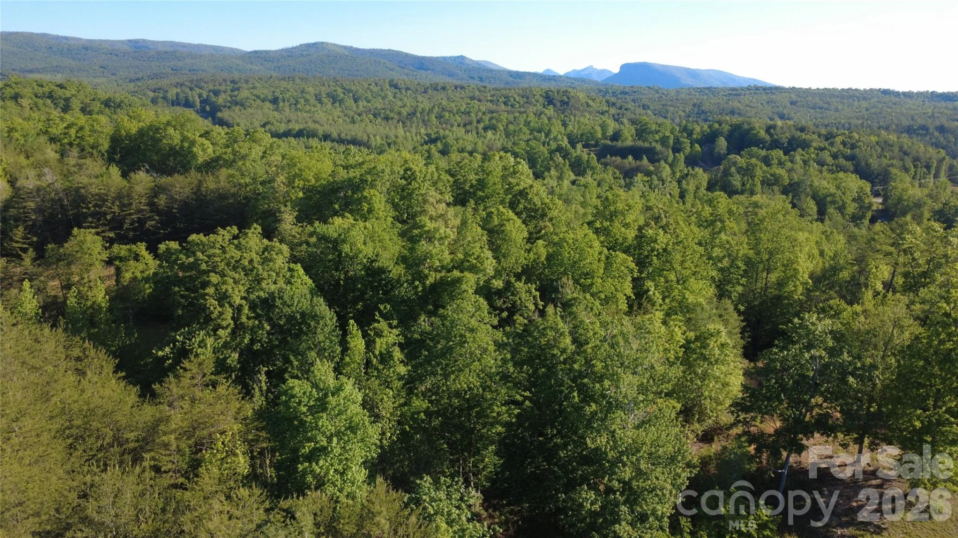 431 Ridge Point Road #7 - Photo 13