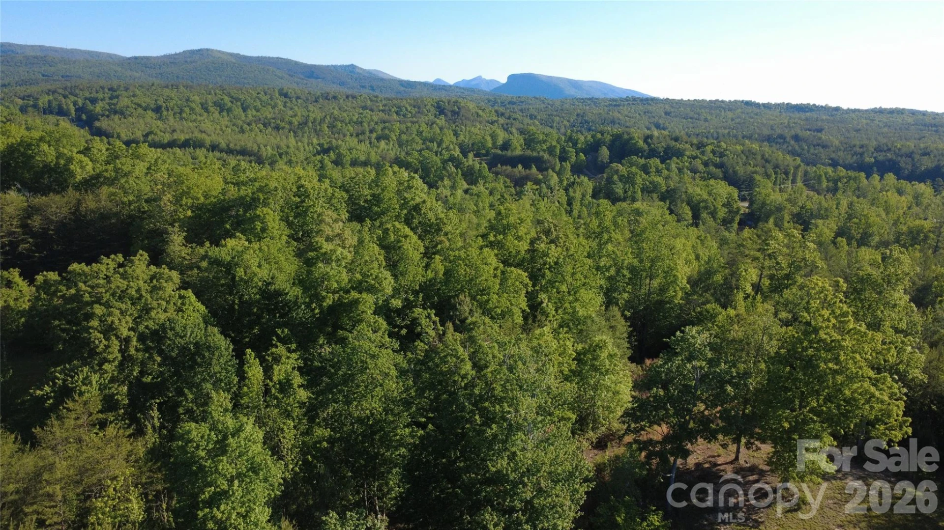 431 Ridge Point Road #7 - Photo 15