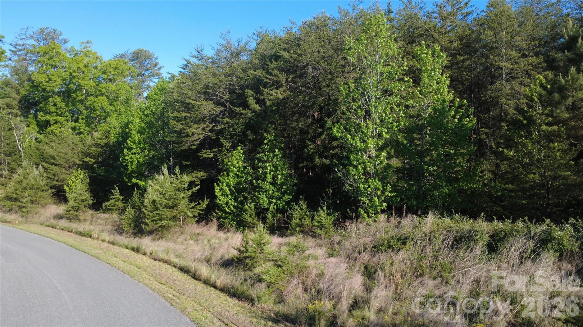 431 Ridge Point Road #7 - Photo 18