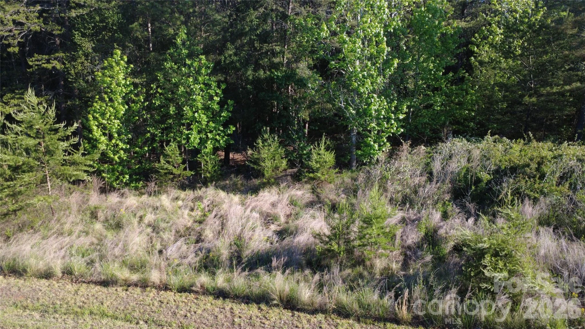 431 Ridge Point Road #7 - Photo 19