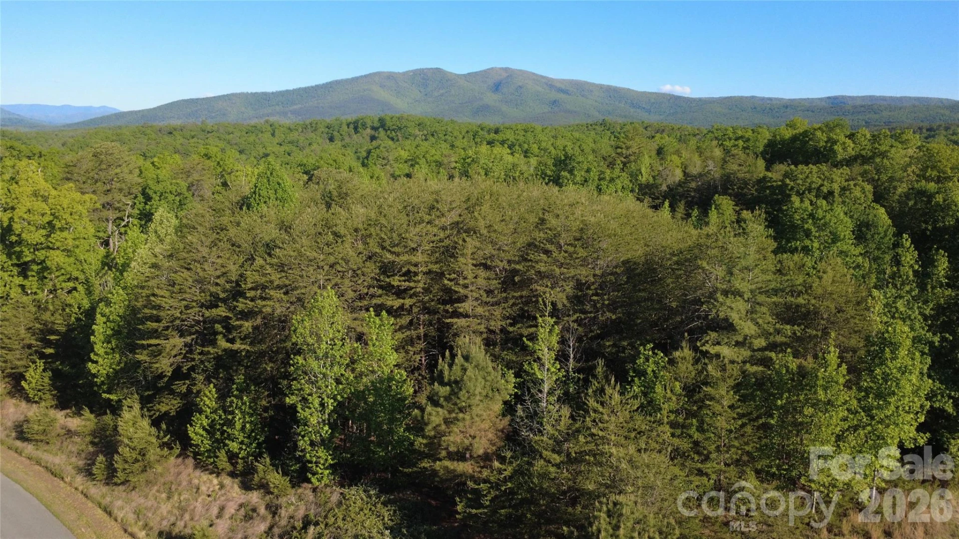 431 Ridge Point Road #7 - Photo 6