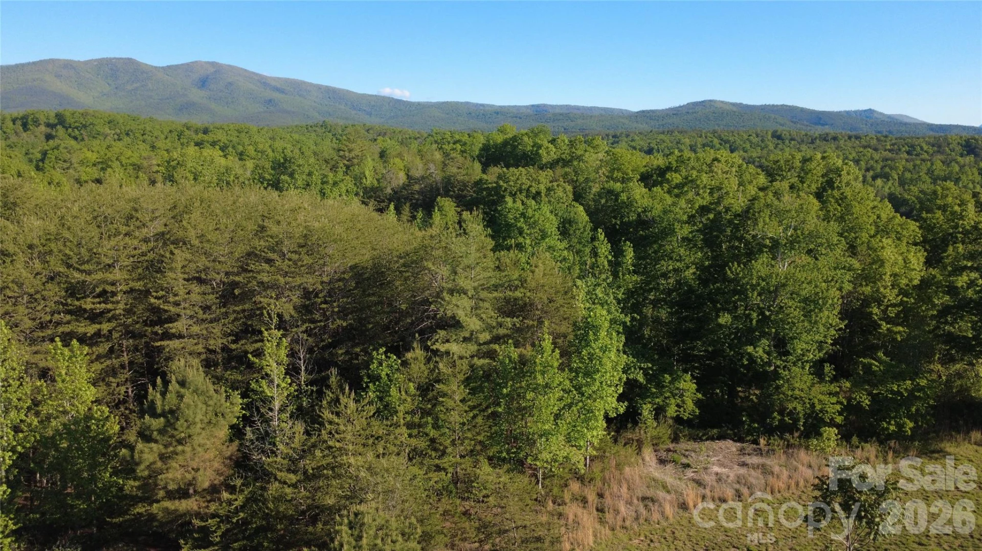 431 Ridge Point Road #7 - Photo 7