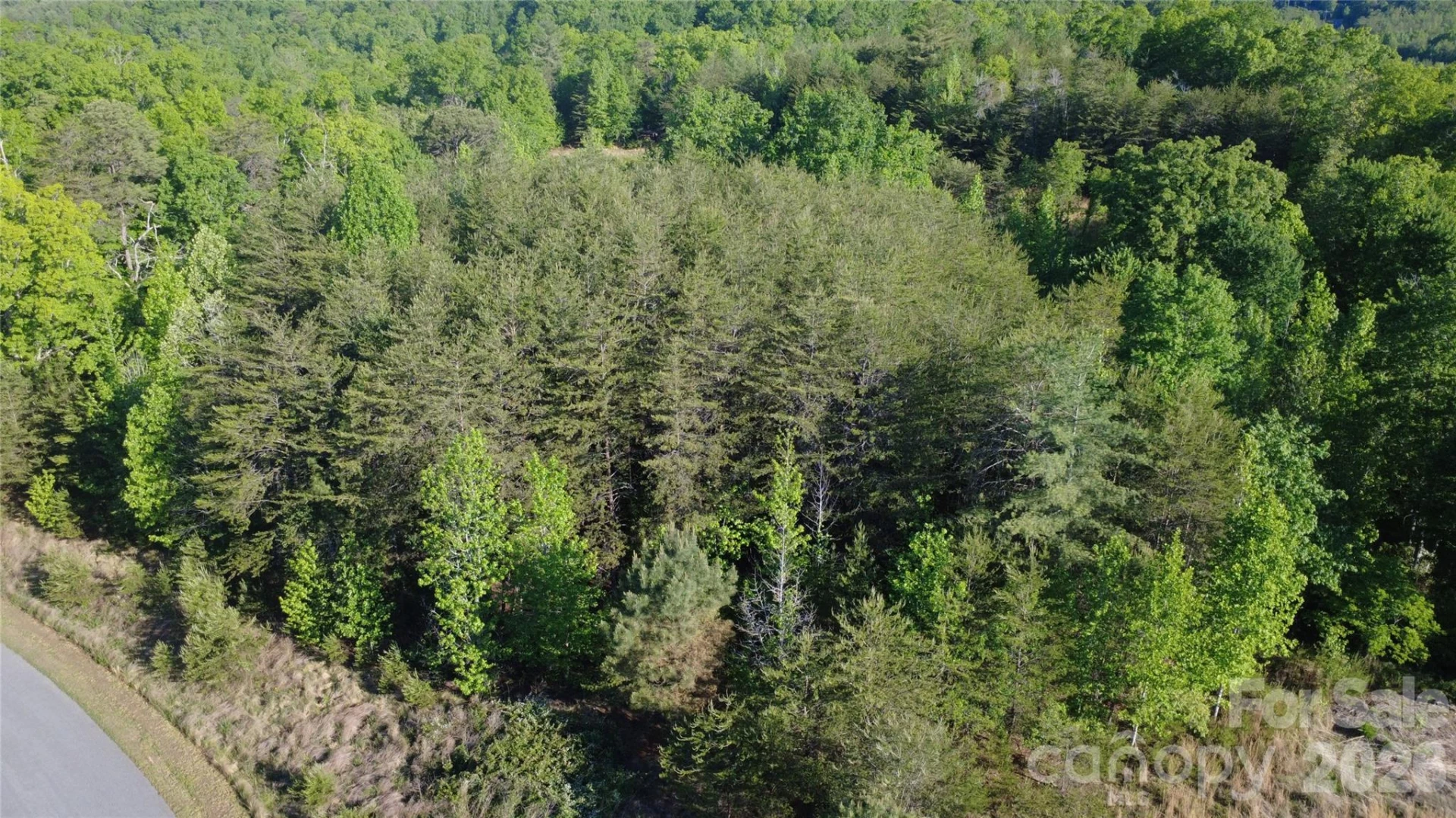 431 Ridge Point Road #7 - Photo 10